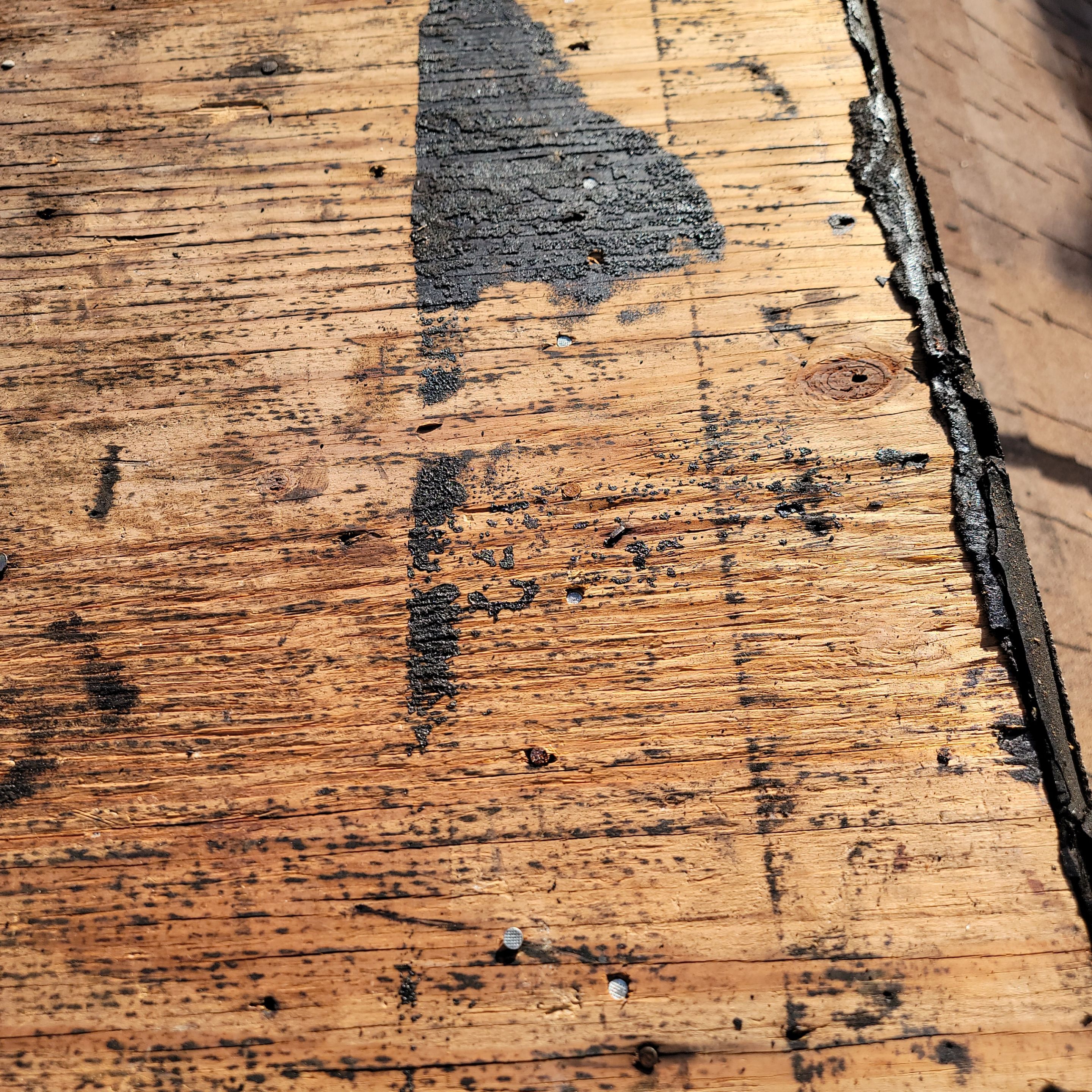 Scott St., Hollywood, FL by G&J Roofing 