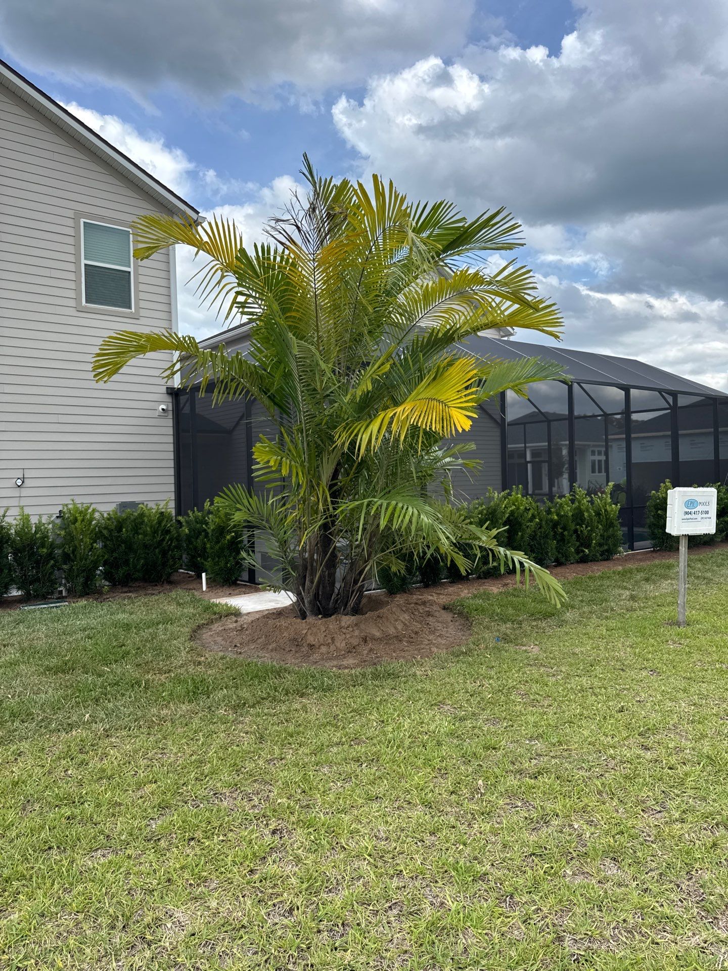 Residential | Sod Install by ProGreen Services