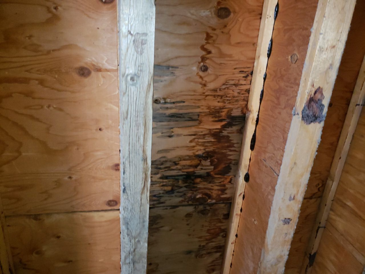 Residential Roofing Repair using Concrete Tile by The Roof Doctor