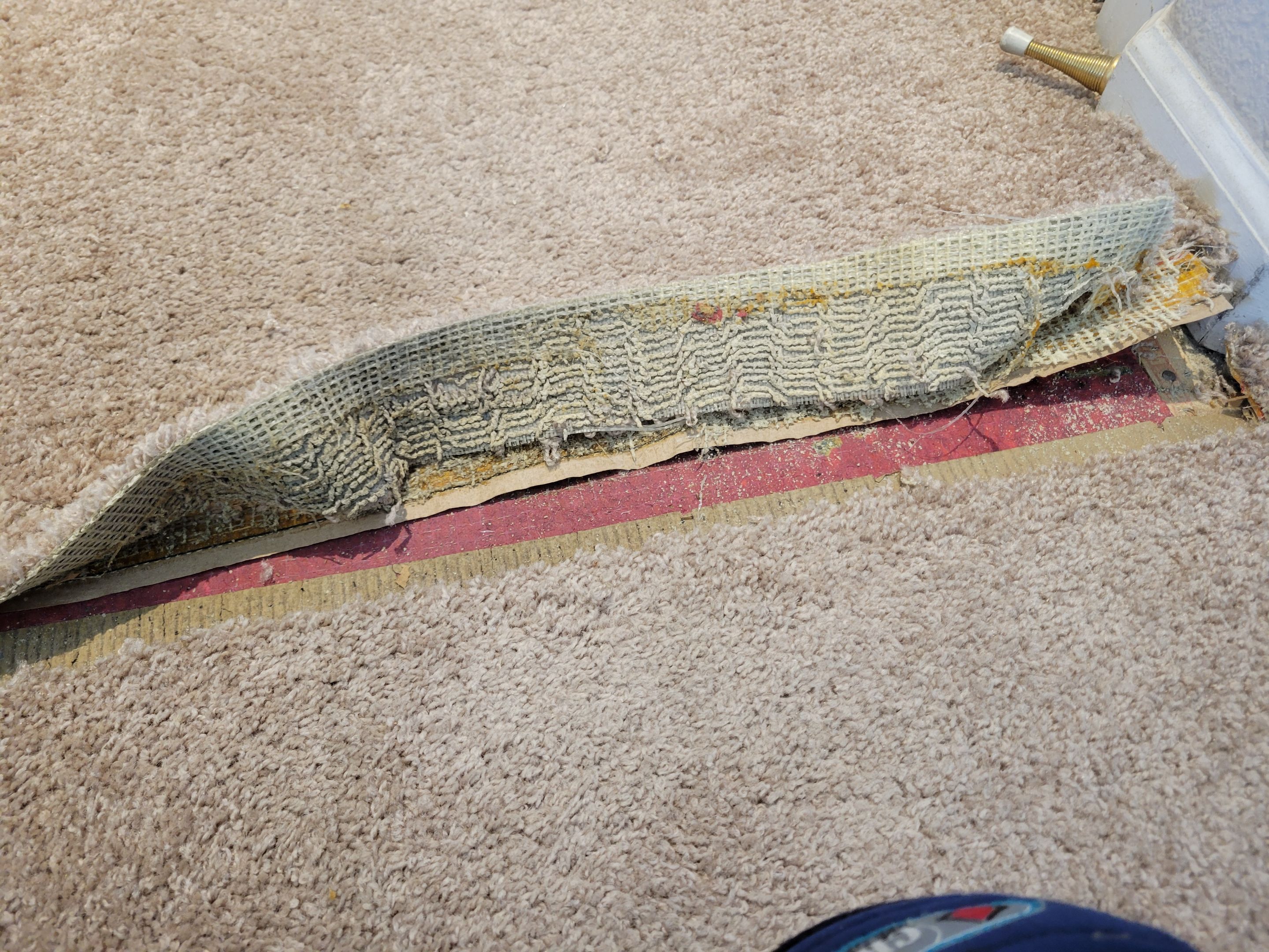 Carpet Re-stretching and Corrective Repair by Ardent Carpet Restore LLC