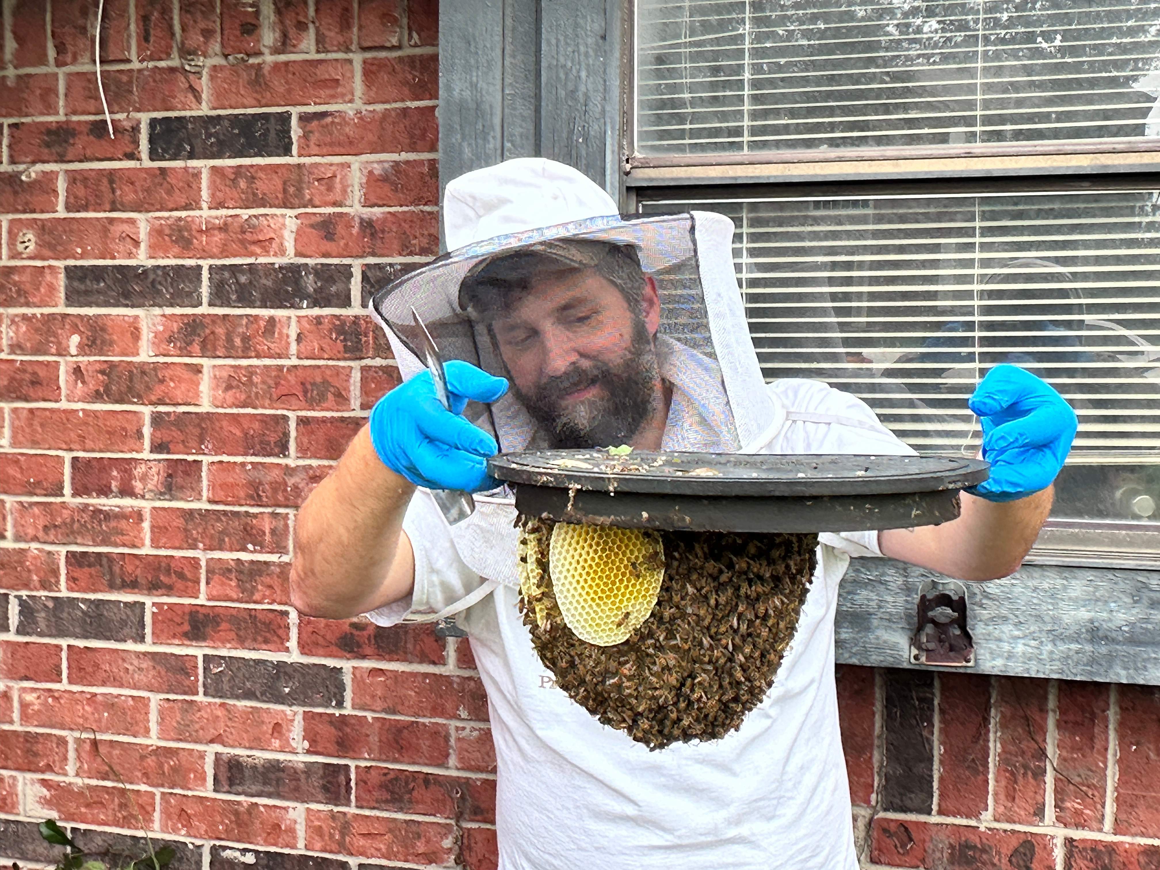 Irrigation Box Swarm by Rockwall Honey Bee Company