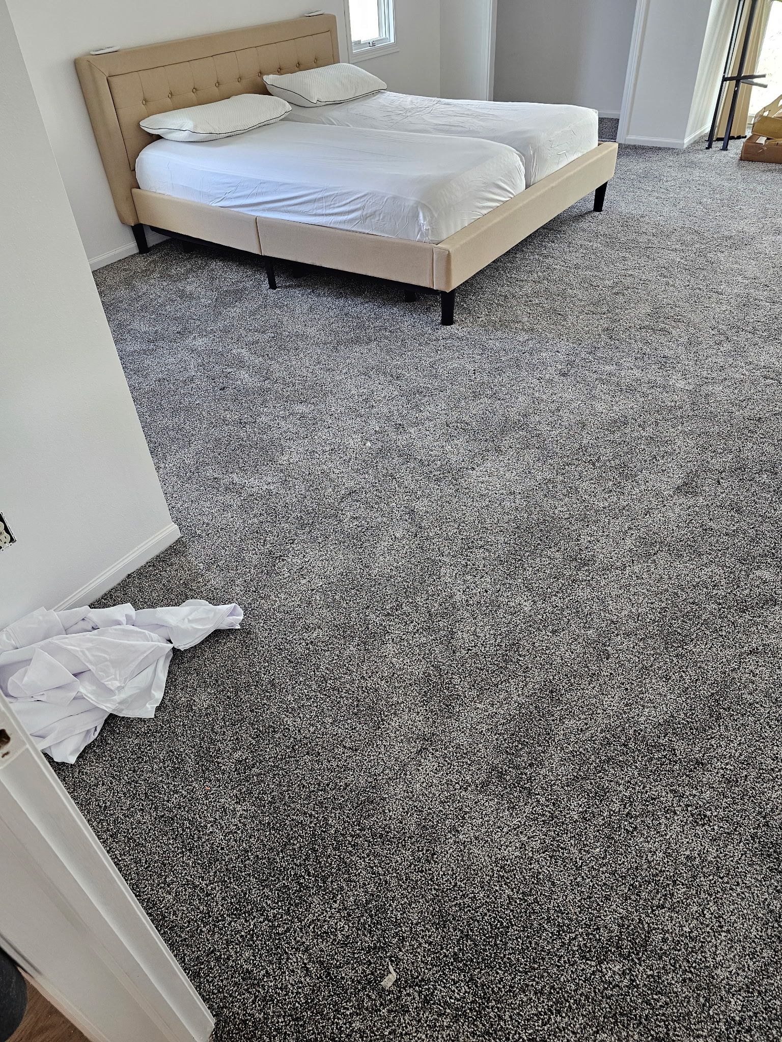 Fresh Carpet, New Comfort in Elwood by Loyal Nine