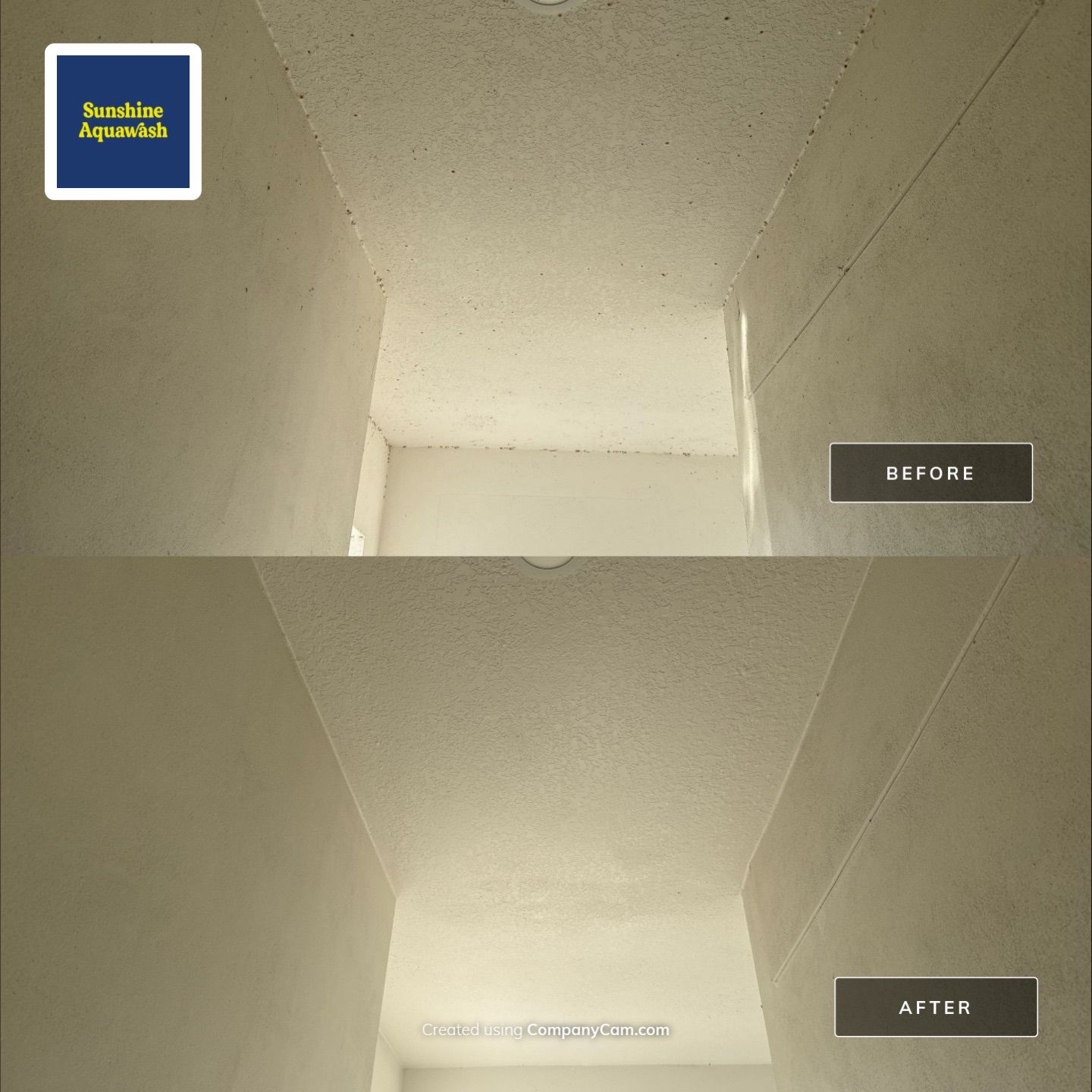 Spider Web Removal, House Wash & Lanai Cleaning in Apollo Beach, FL by Sunshine AquaWash