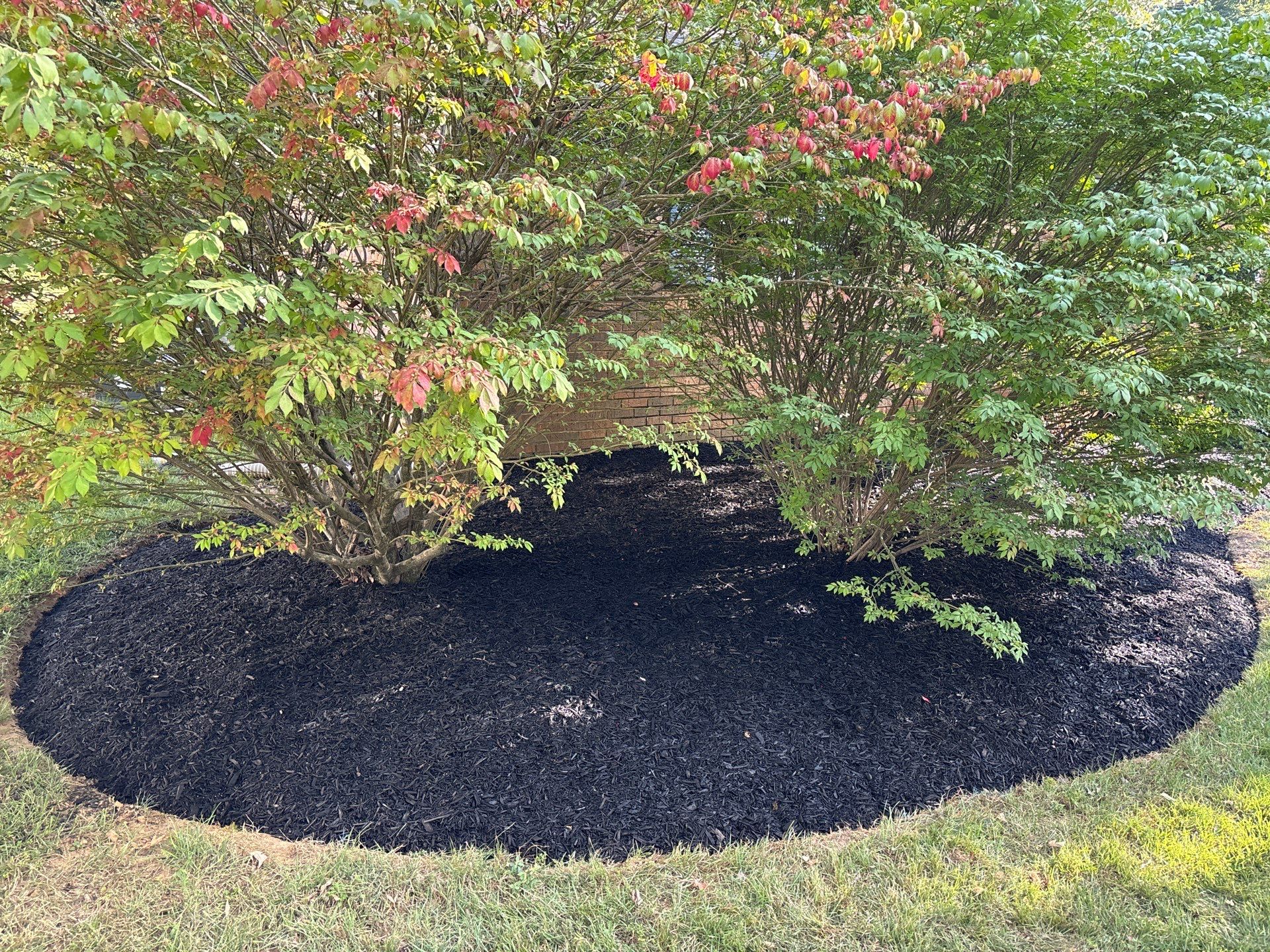 Front Entry Enhancements and a Back Deck Upgrade by Elite Proscapes LLC