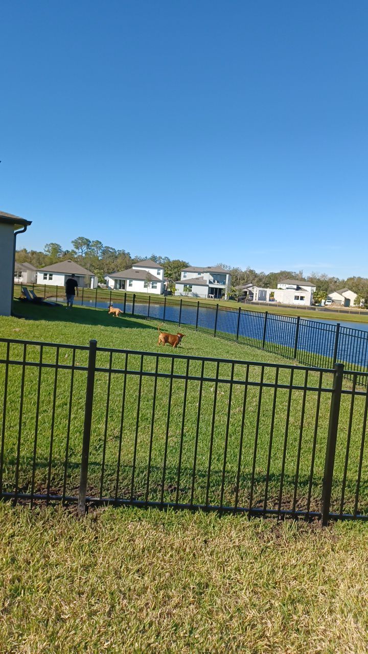 Parrish, FL 4 ft. Tall 3-Rail Black Aluminum  by Asap fence and gates, LLC