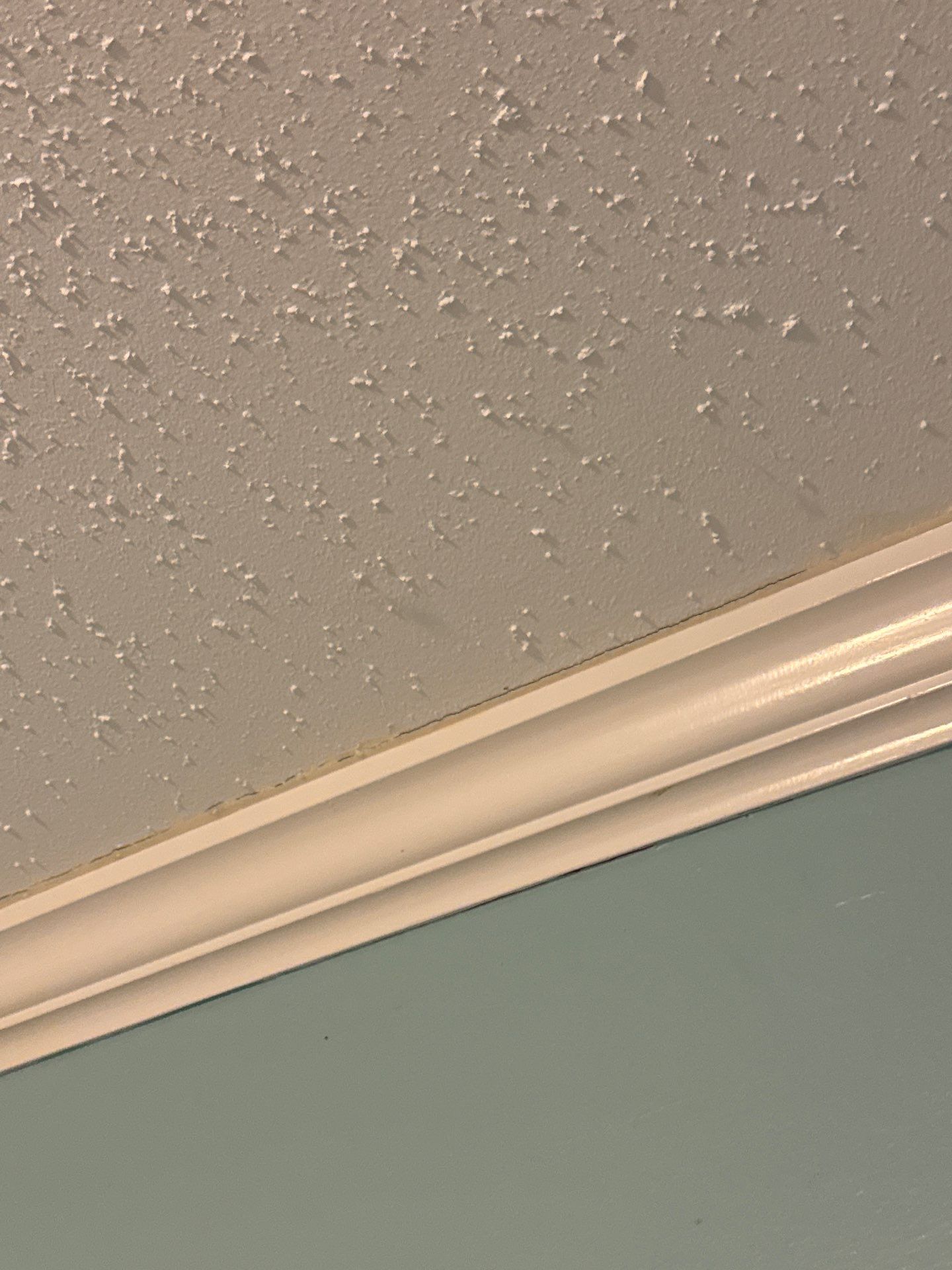 Walls Finishing by OCS Contracting Services