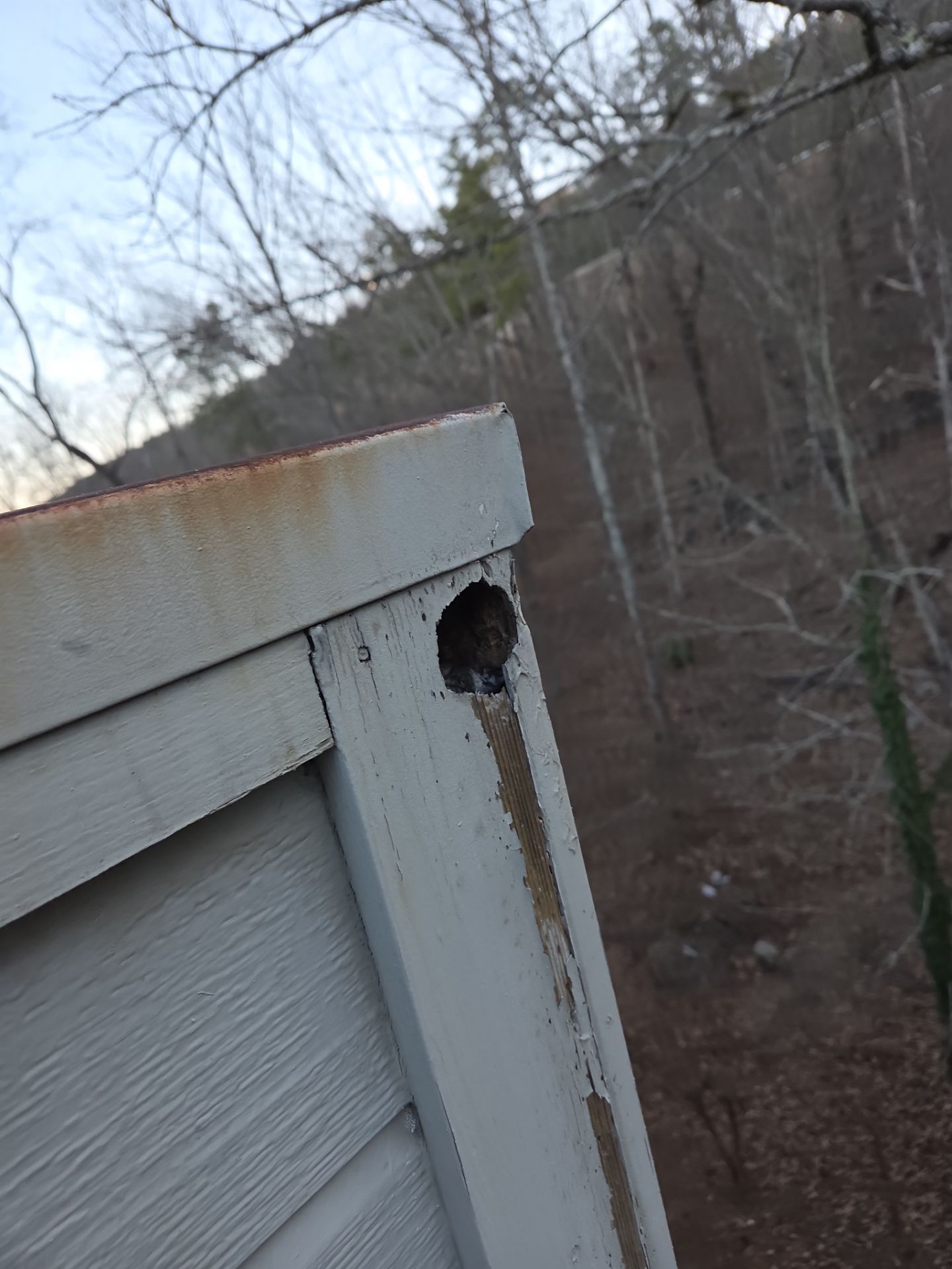 Residential Siding Repair in Birmingham by The Roofing Dudes