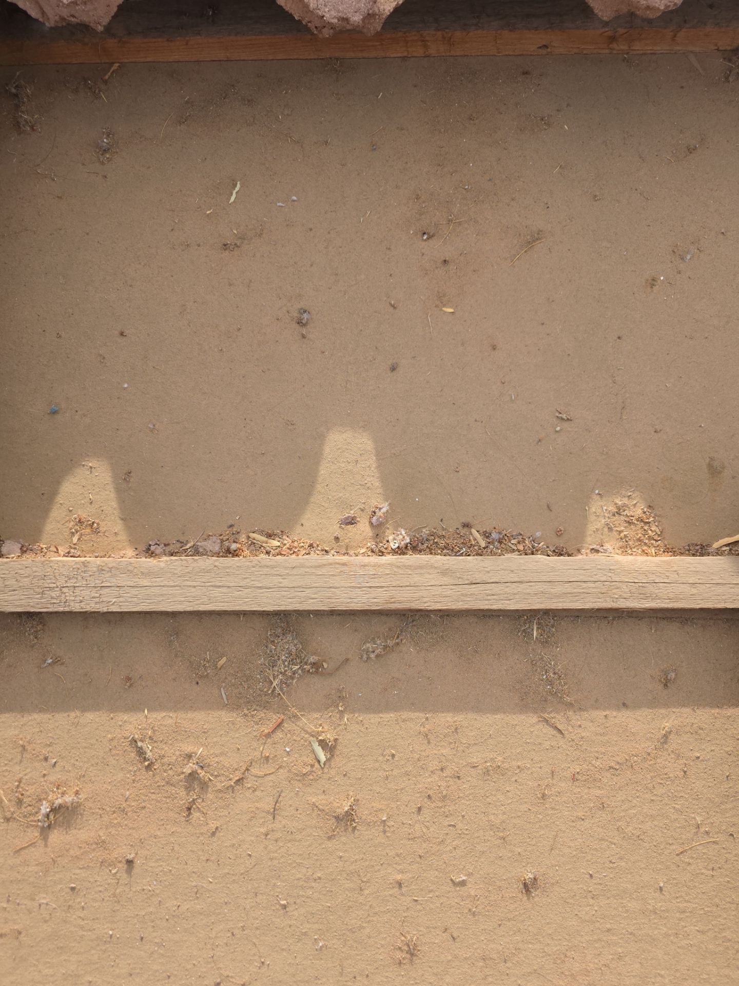 ☀️ Tile Reset Complete in Mesa, AZ by Weather-Tite Roofing