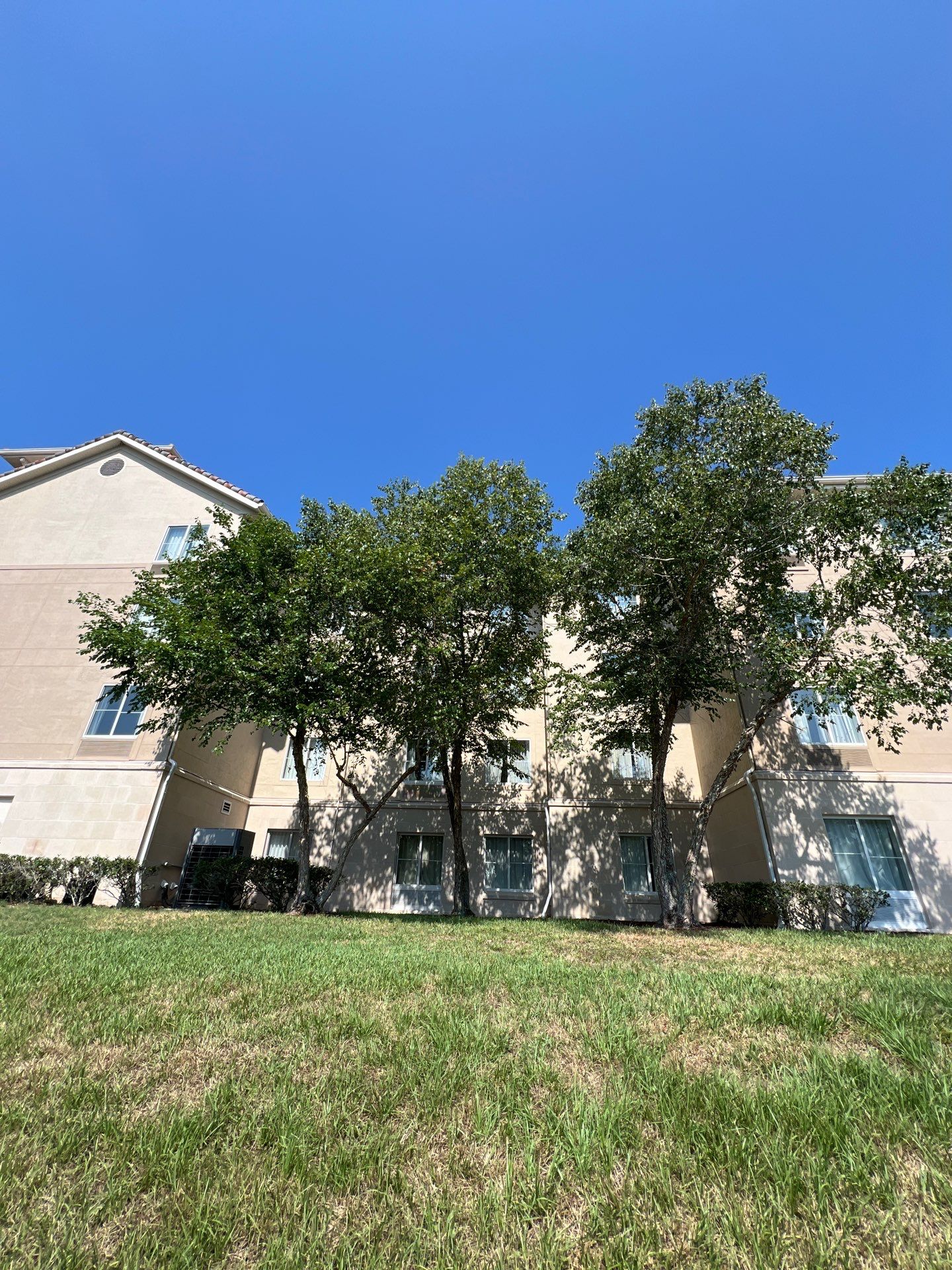 Homewood Suites | Tree Service by ProGreen Services