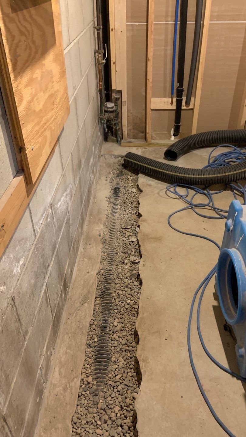 Eliminating Moisture & Mold for Betsy by Waterproofing Northeast