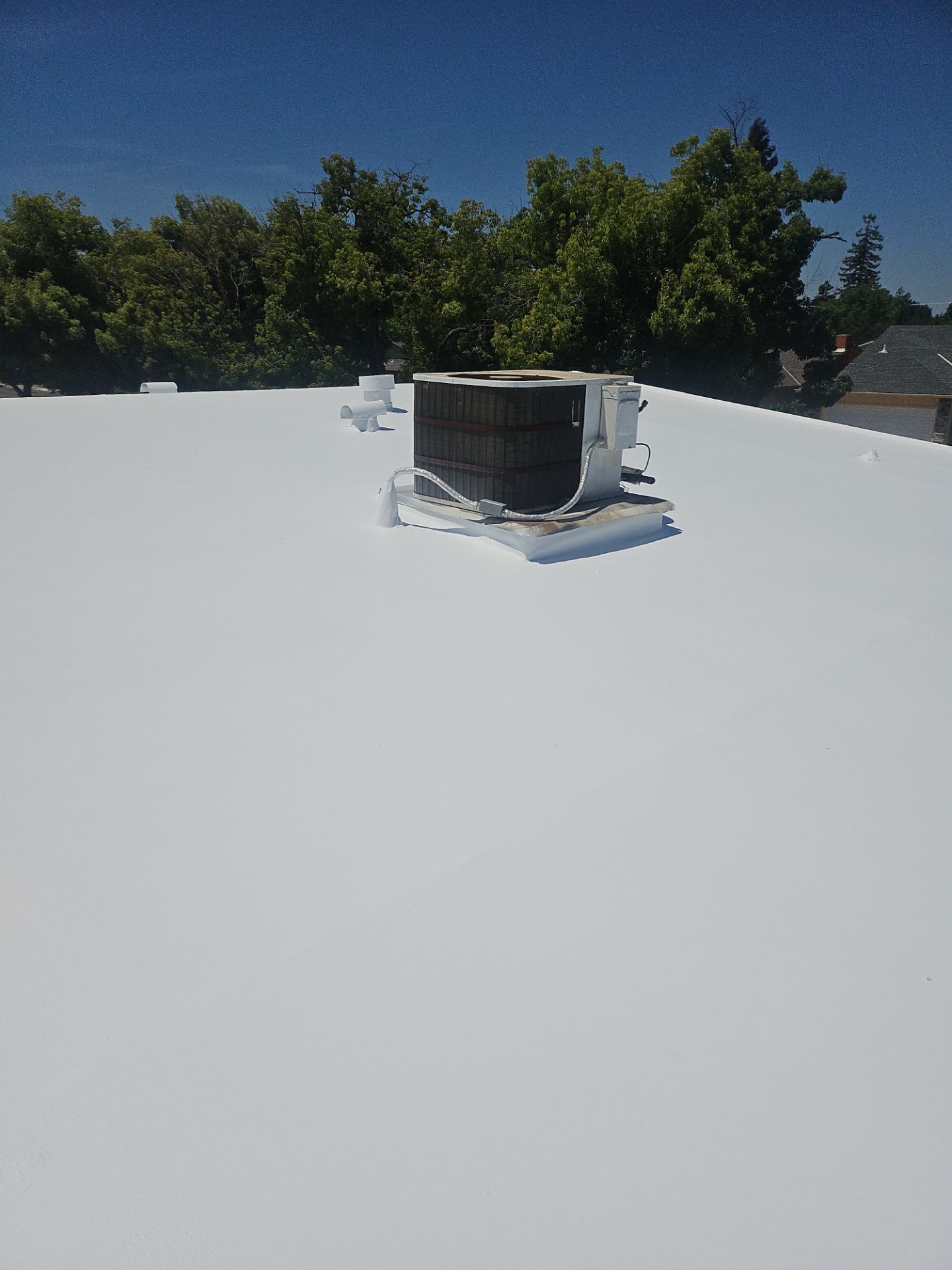 Single-ply restoration system using Benchmark/PUMA XL coatings over TPO single-ply roofing by Straight Edge Roofing Inc