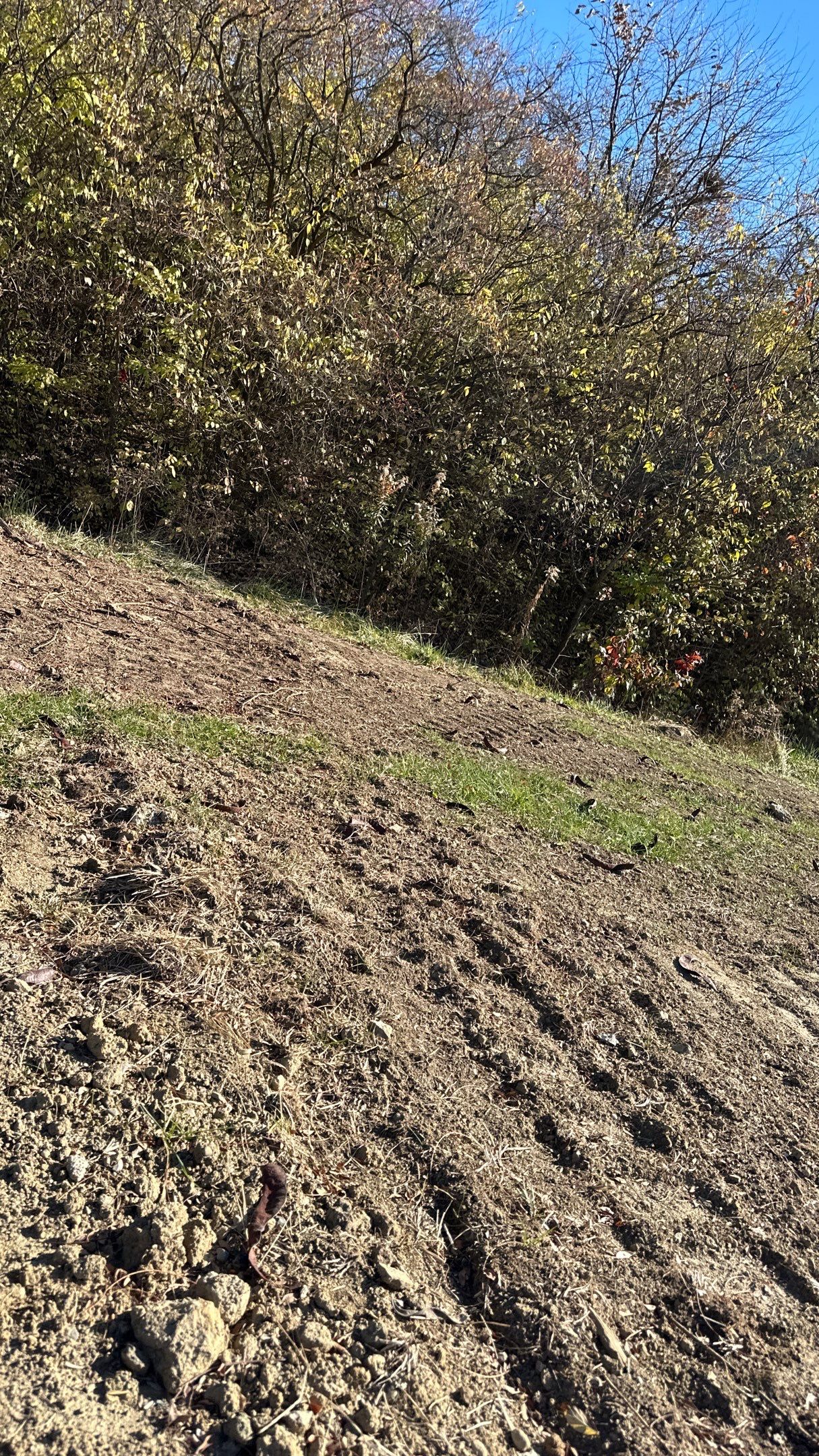 Hamilton - Summer Storm by Tamlin Roofing