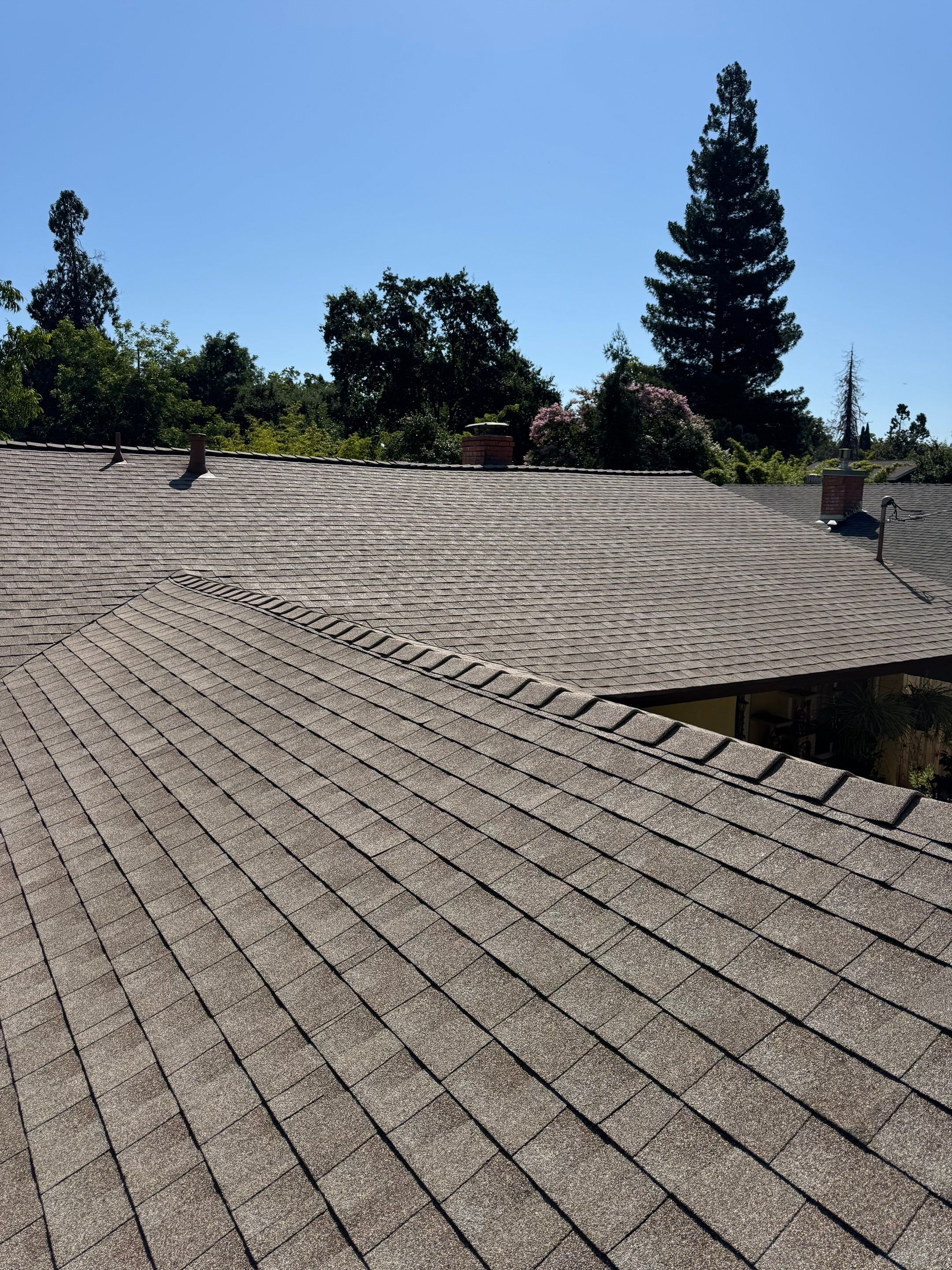 Chico Shingle by Butte Roofing Company License #567600