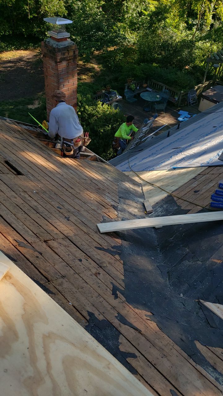 Alexandria Roof Project - CertainTeed Landmark Pro Max Def Charcoal Black Shingles by RM Banning, Inc.