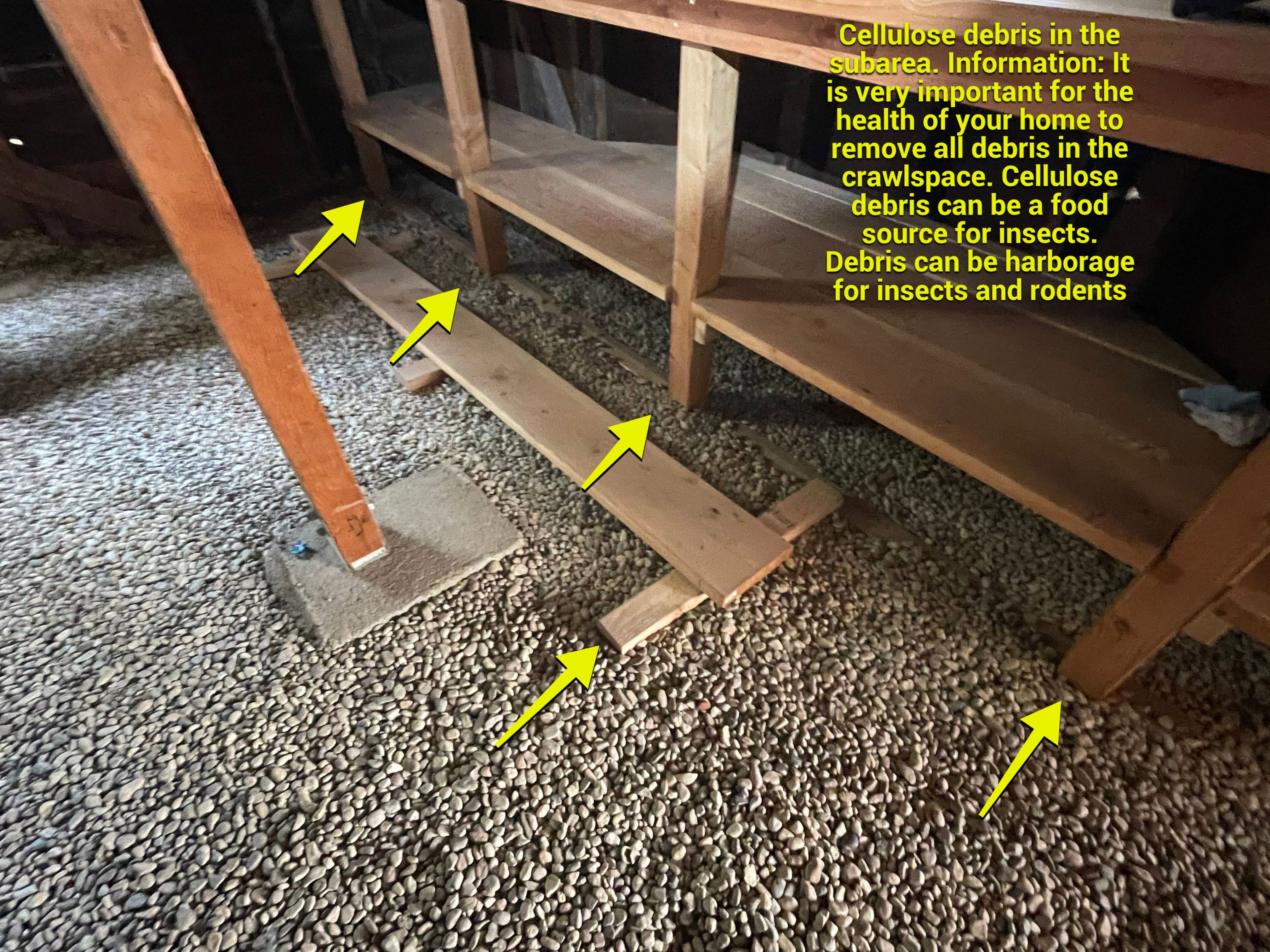 Wood Destroying Organisms Report by GLOBAL Termite Solutions