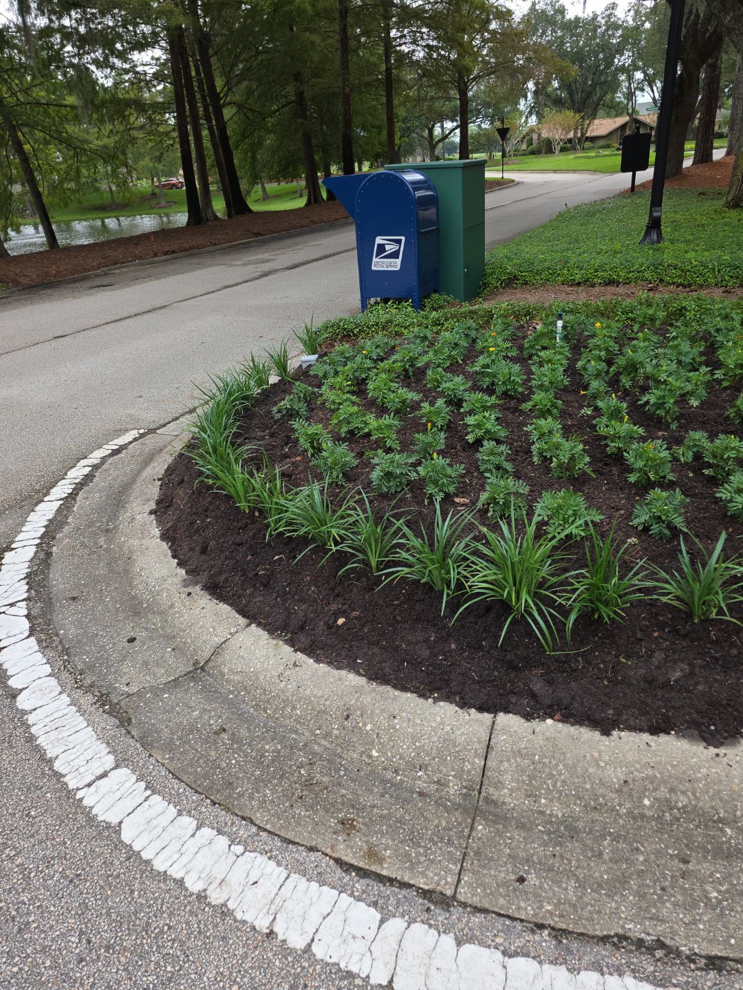 Deerwood Community | Baymeadows Gate by ProGreen Services