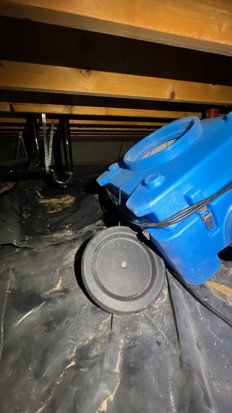 Mold Damage by Accountable Home Services