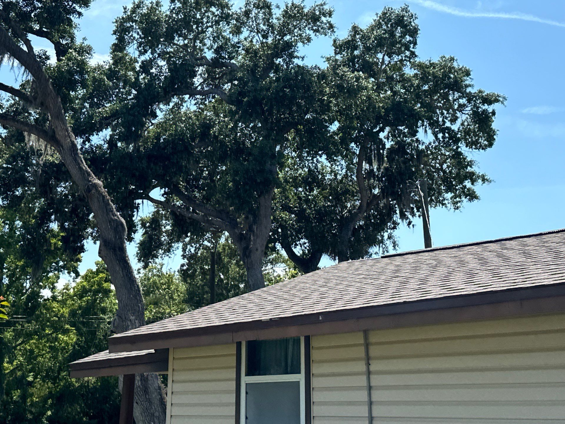 Shingle Reroof Replacement New Smyrna Beach FL by Pinnacle Roofing Group