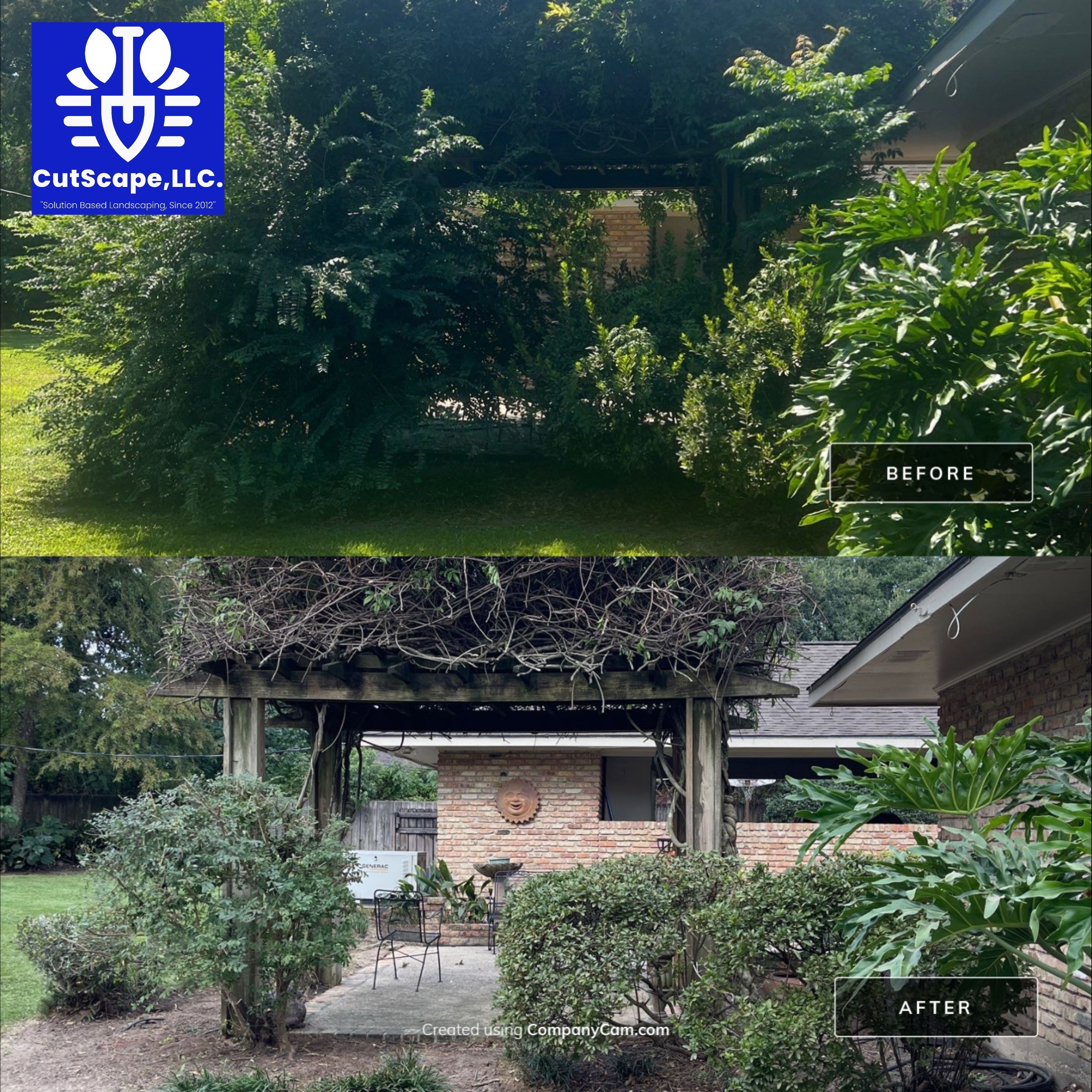 HERBICIDE / CLEAN OUT / TRIM / BRUSH DEBRIS REMOVAL using BRUSH REMOVAL / PROPERTY CLEAN UP LABOR by CutScape, LLC.