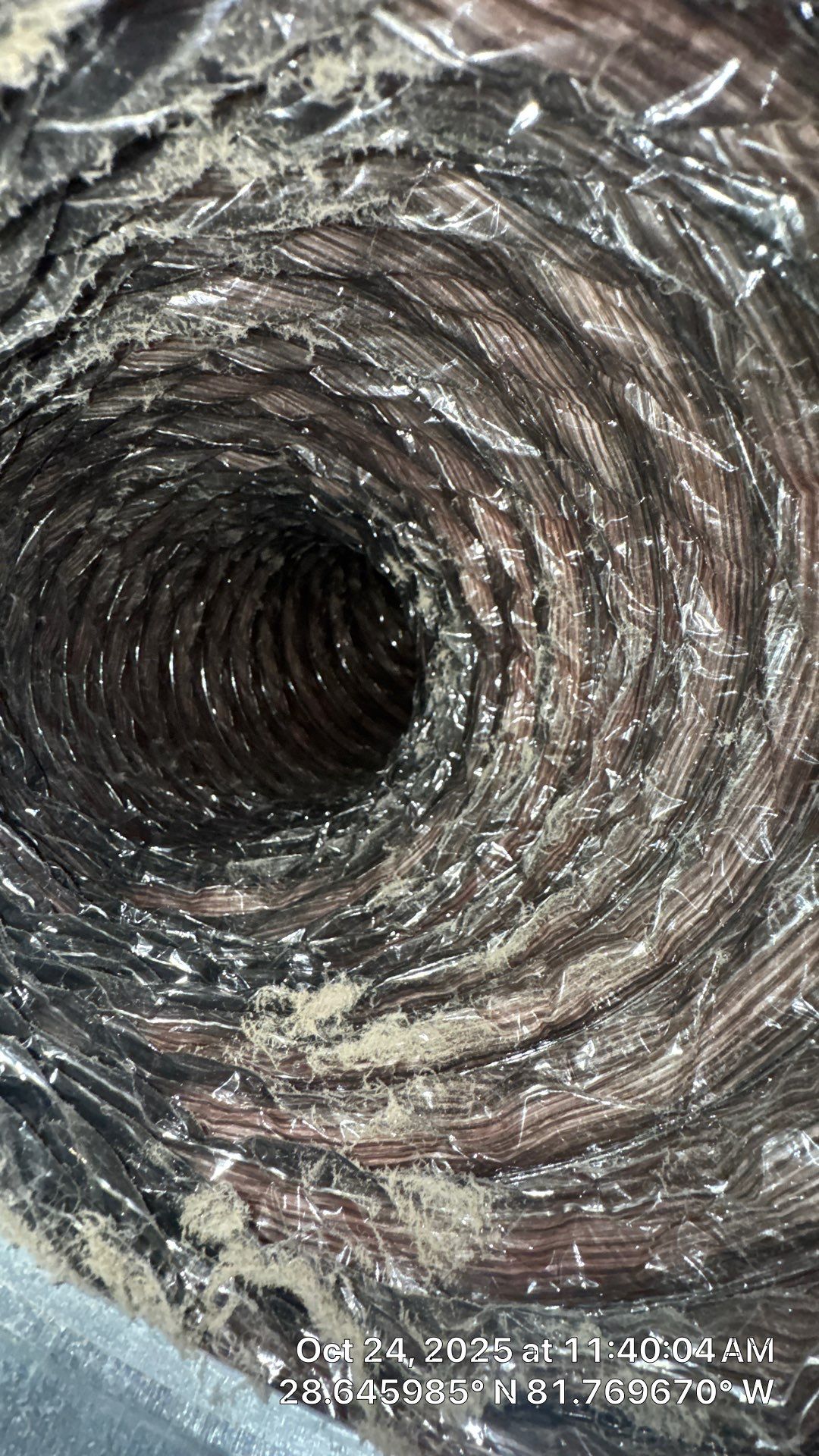 Air Duct Cleaning in Clermont by Hygienic Air, Inc