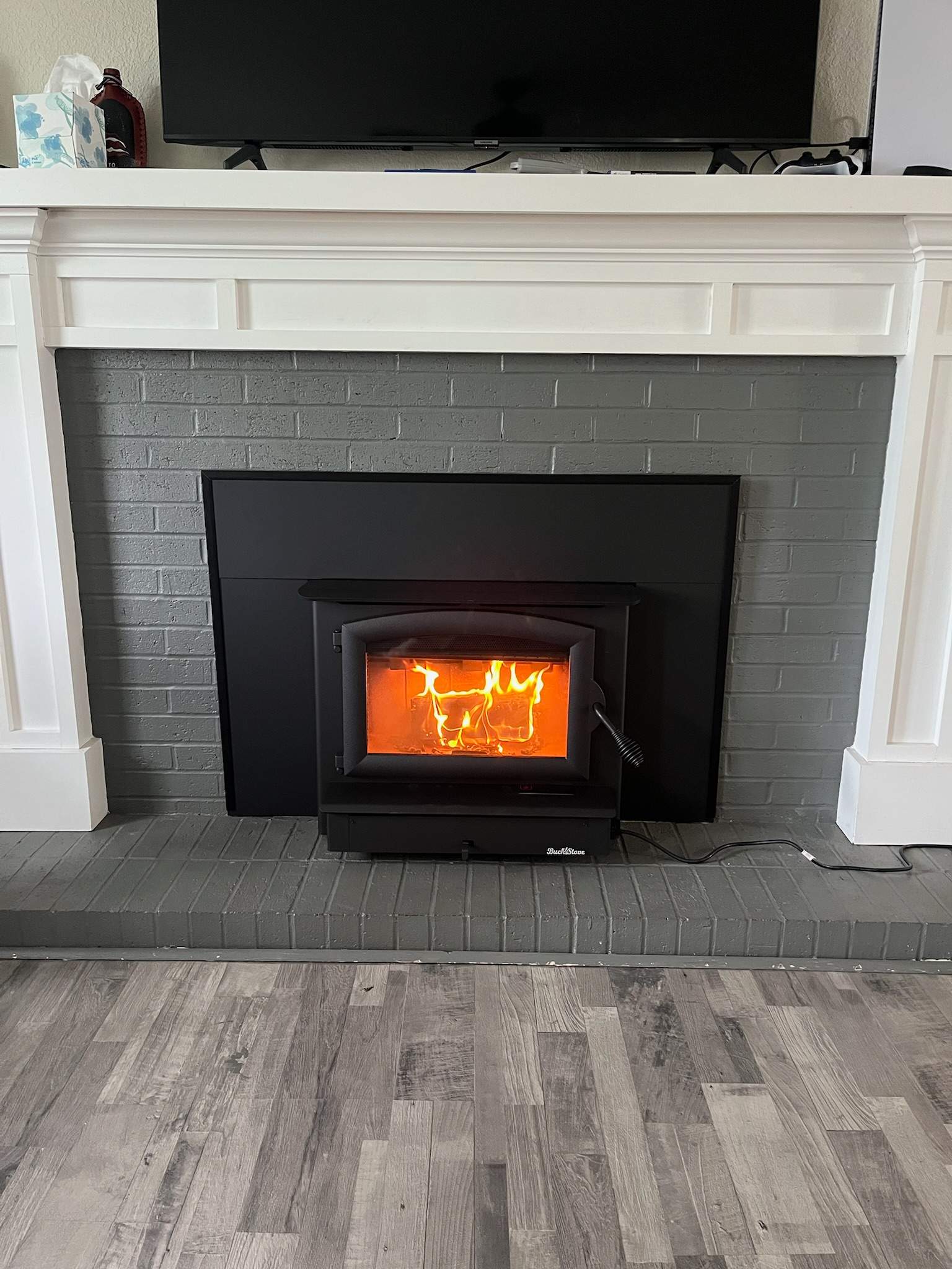 Wood Stove Insert Chesapeake, VA by Premier Chimney and Roofing