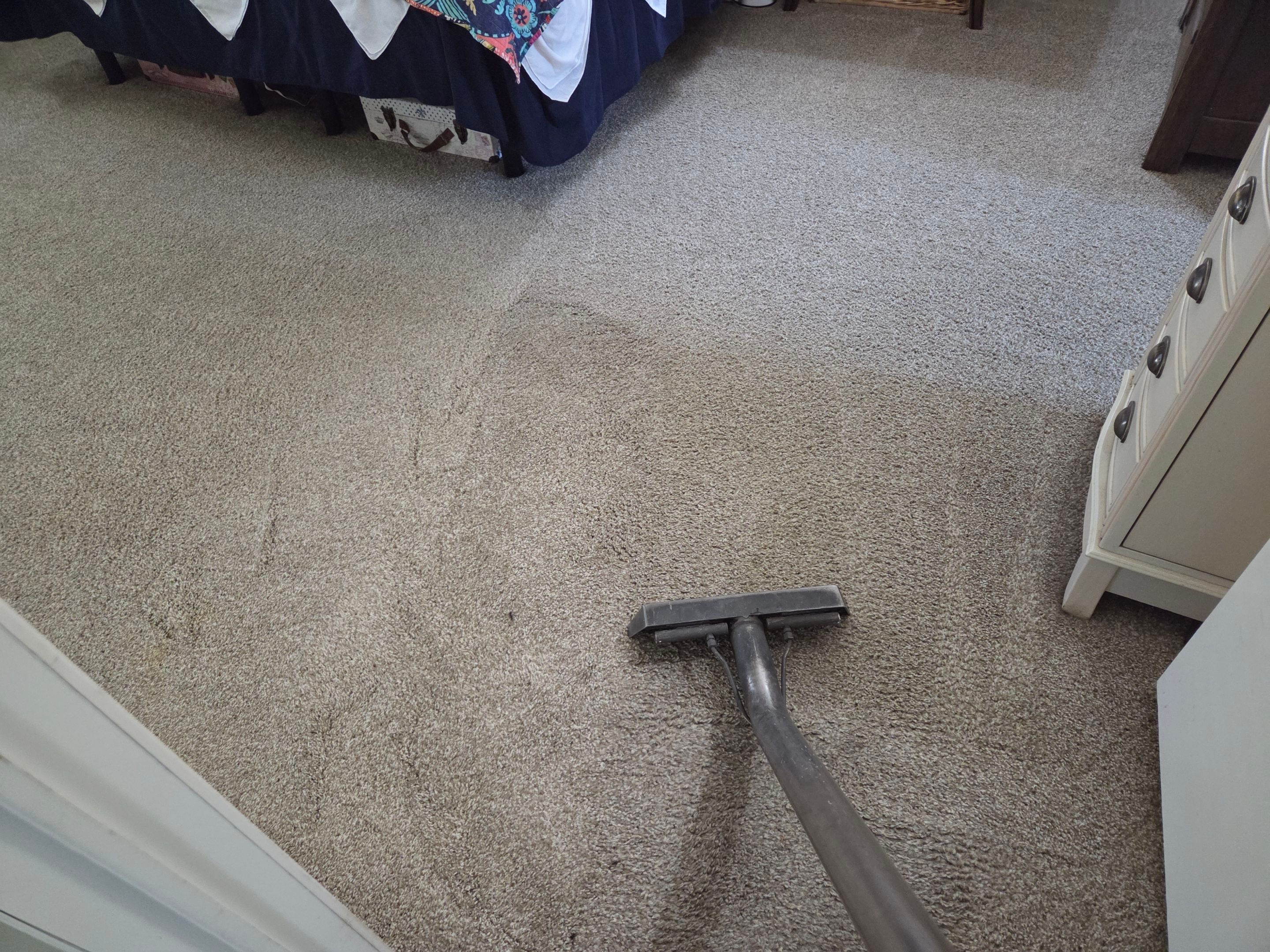 Pet Urine Pad Removal, Extraction and Cleaning by Ardent Carpet Restore LLC