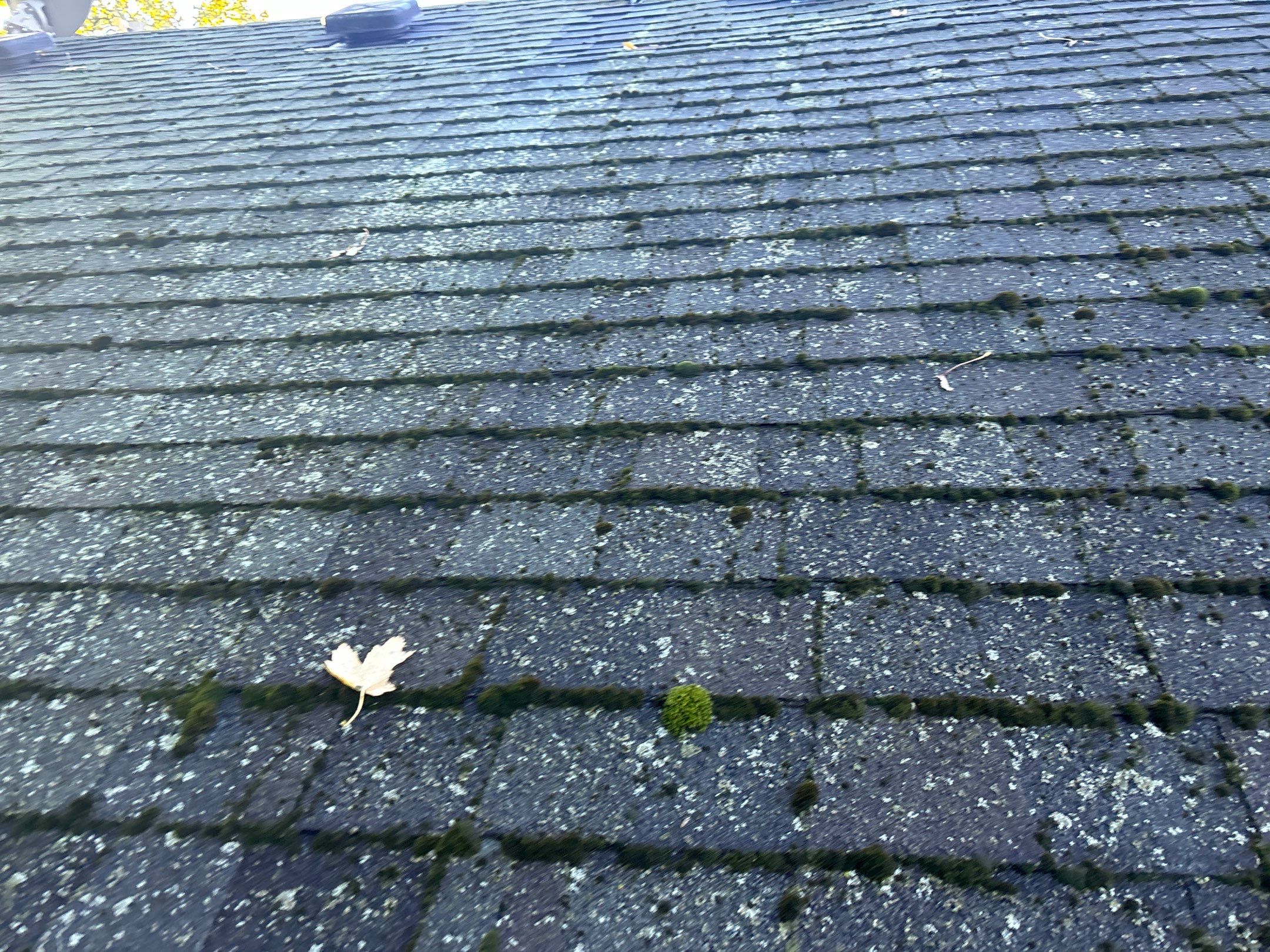 Roof Replacement using Certainteed Landmark Climate-Flex by 180 Contractors
