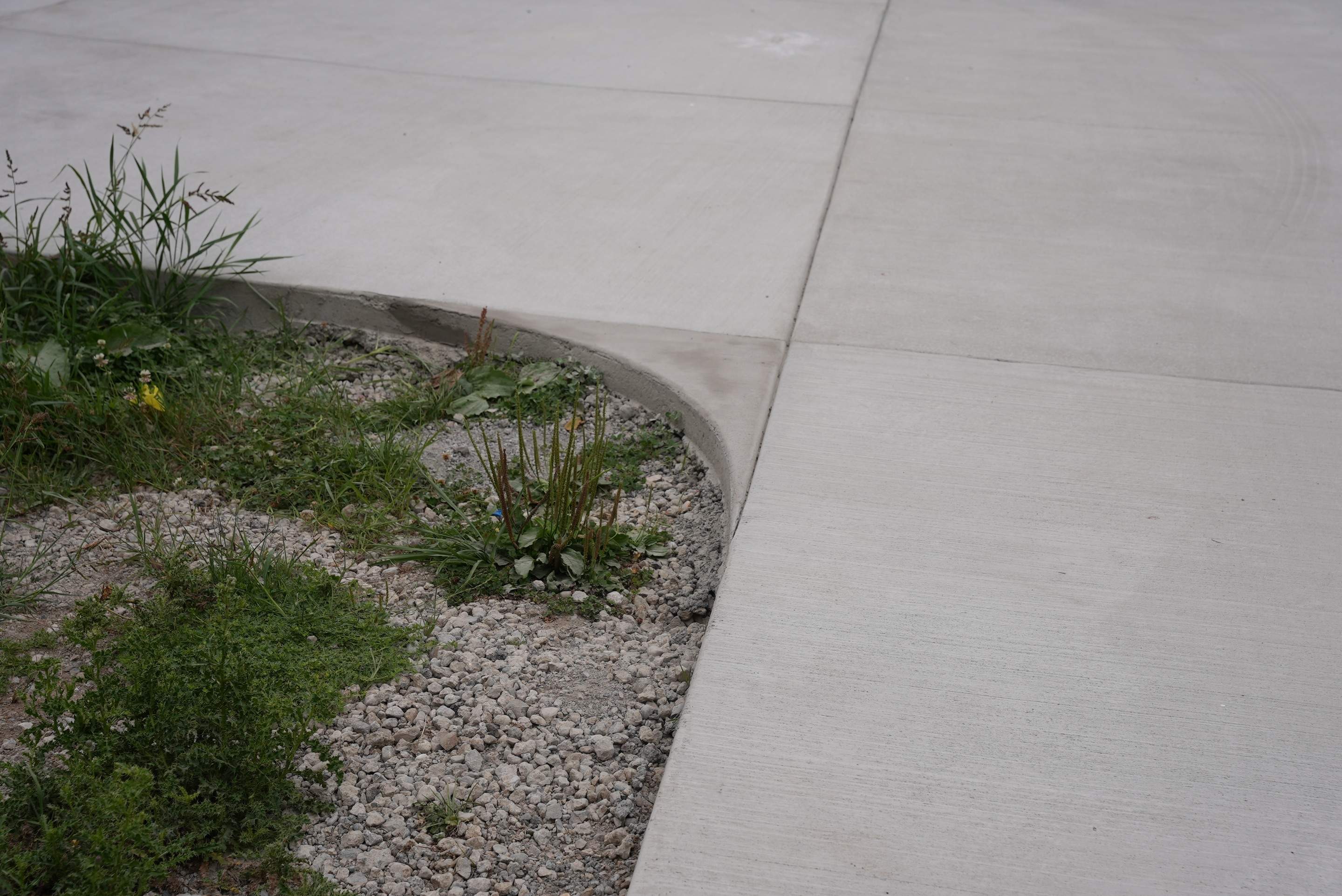 Lauren | Concrete Driveway, Back Patio & Asphalt Patch Repair  by Jireh Asphalt & Concrete Inc 
