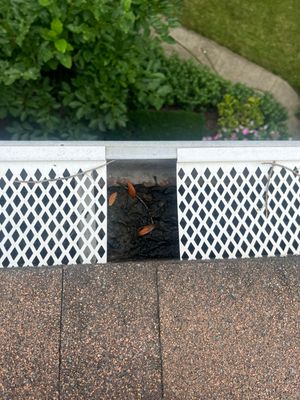 Turtle Shell gutter protection installation in Naperville, IL 60540, photograph 11
