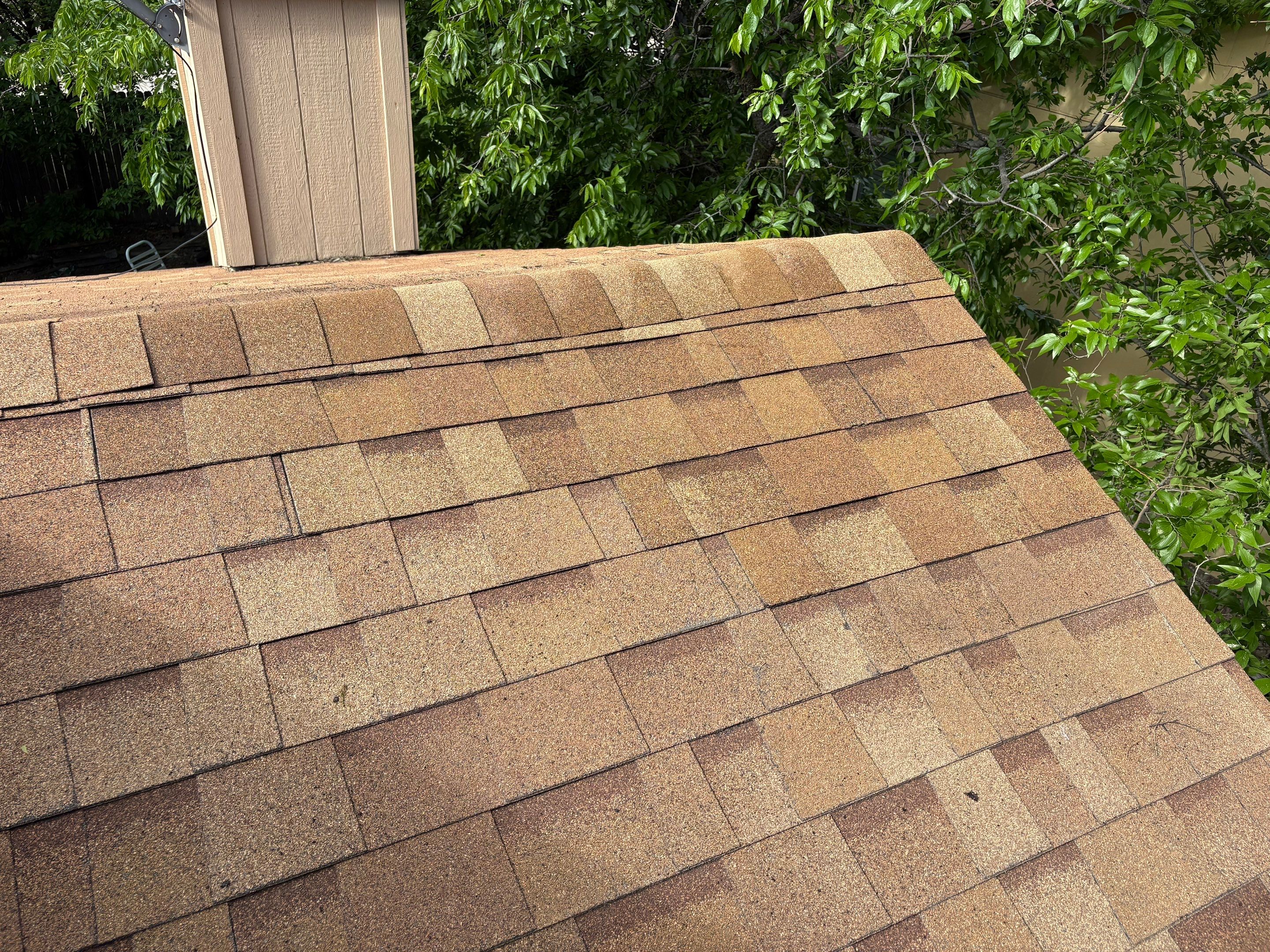 Roof Leak Repair & Tree Trimming in Pflugerville, TX by Kstylez Roofing & Construction