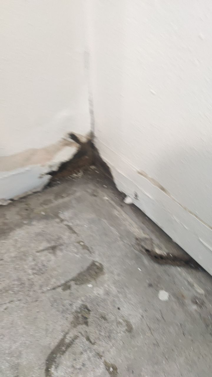 Mold Remediation by Accountable Home Services