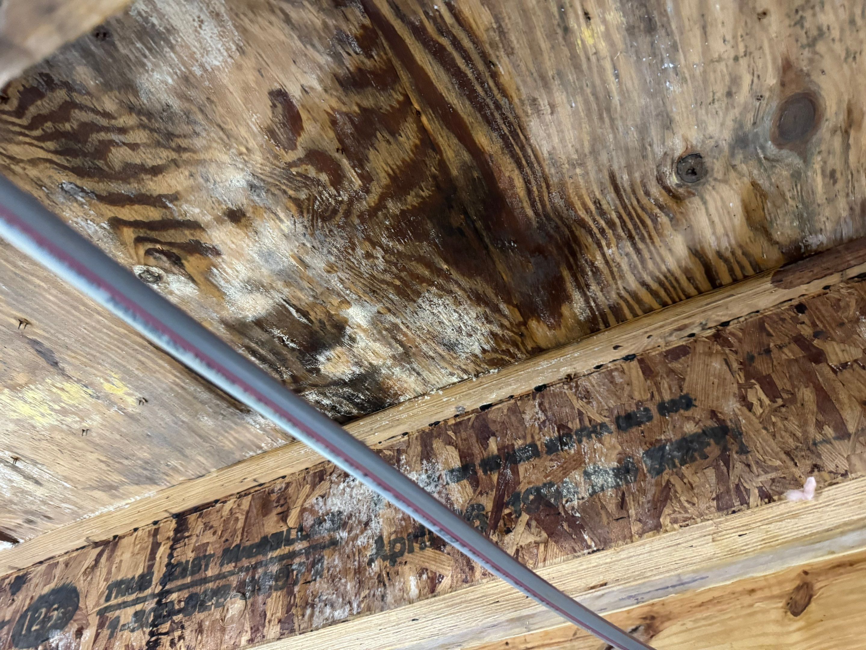 Project in Suffolk by Patriot Crawl Space Repairs