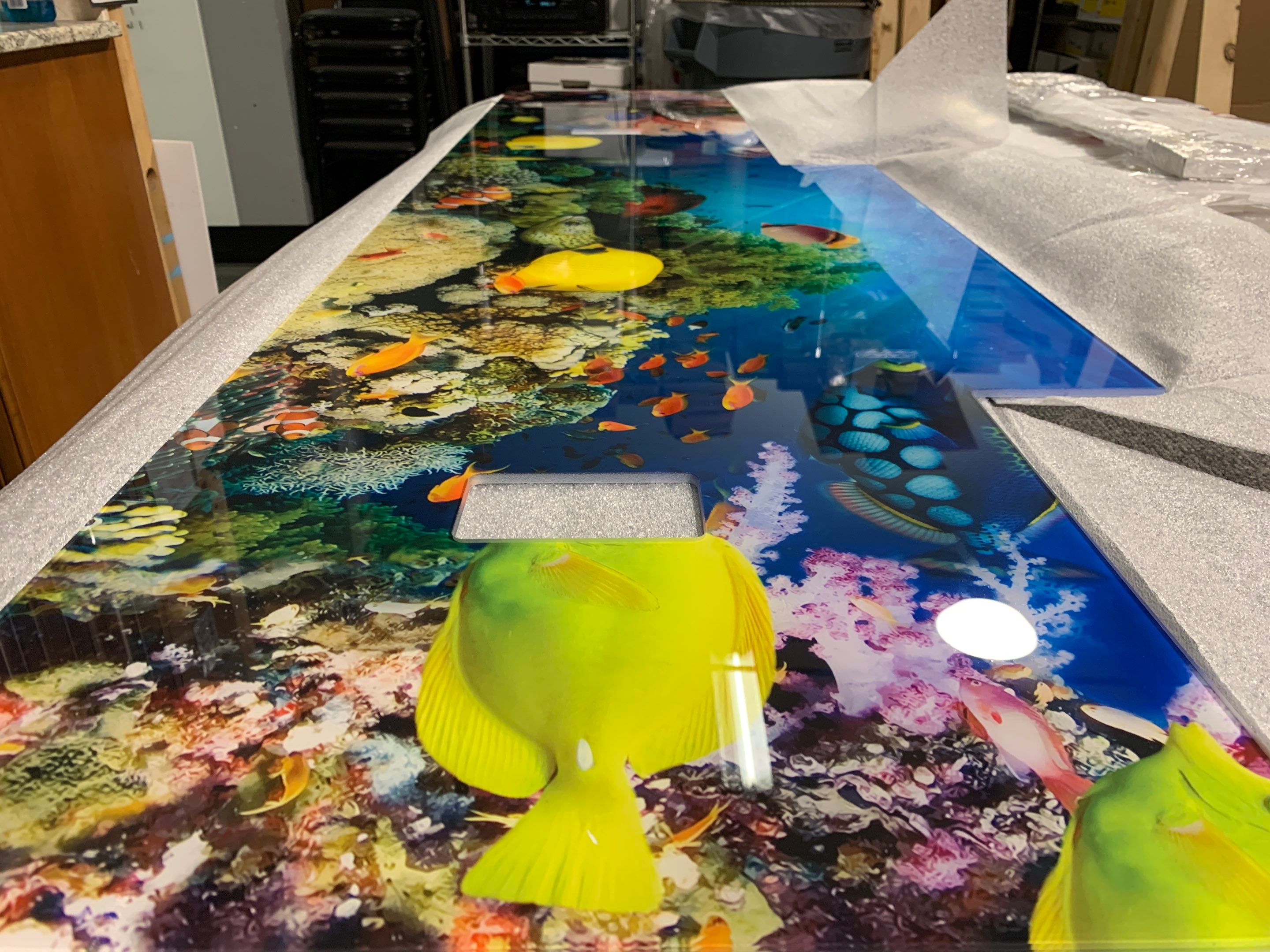 IMAGIO under the sea solid glass kitchen backsplash by IMAGIO