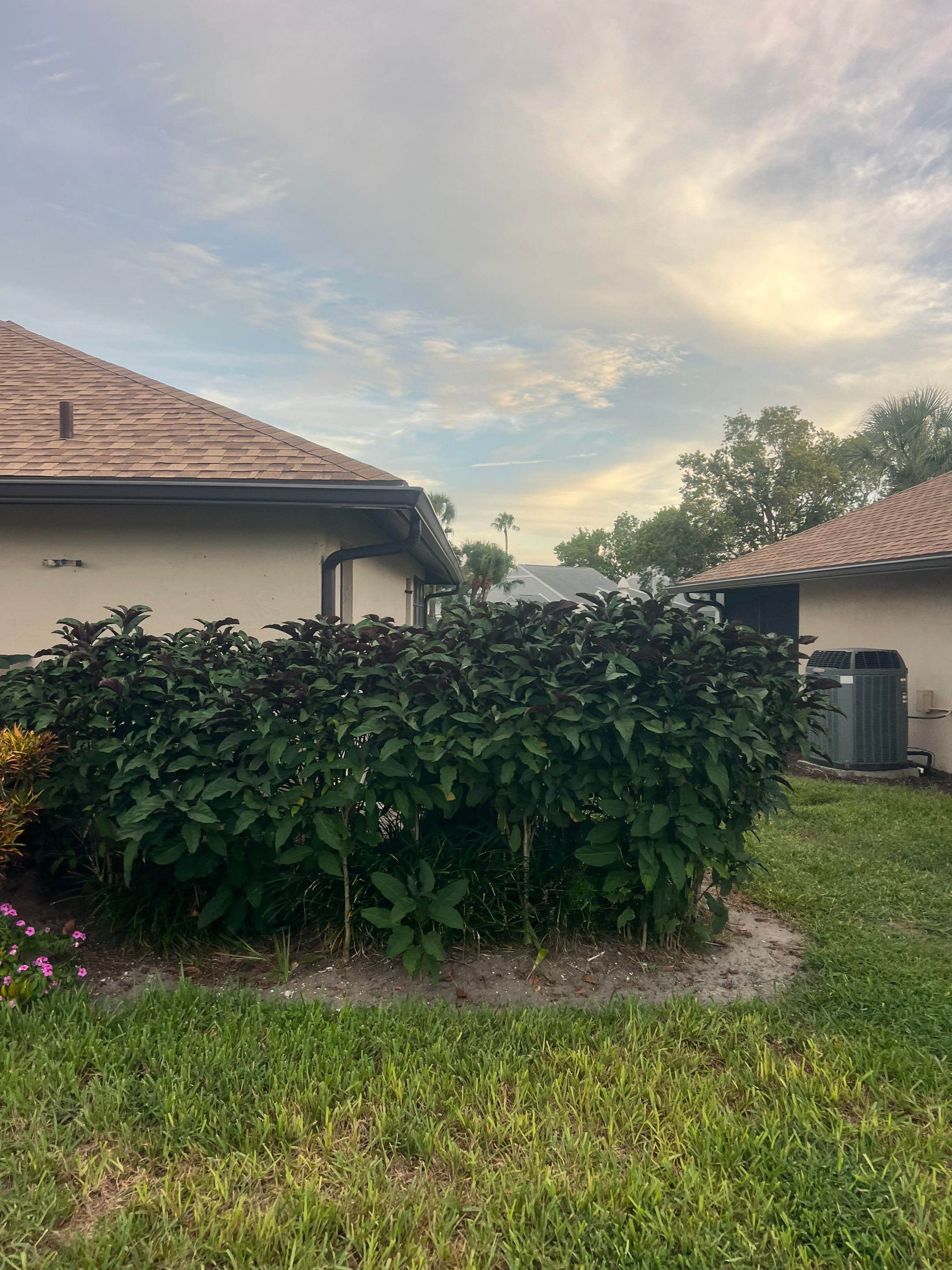 Bronze 6-Inch Seamless Gutters Installation in Bradenton FL by Gutter Professors