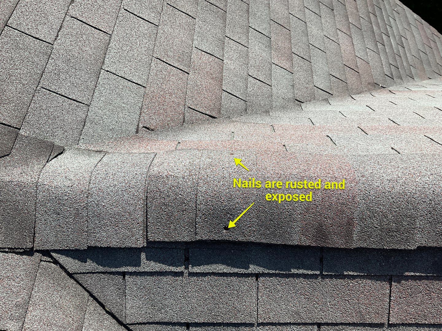 Residential Roofing Installation by Alpha Design Services