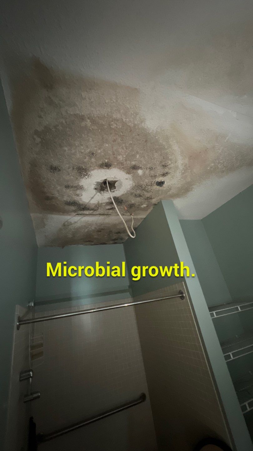 The Gardens of Rome by PC&D