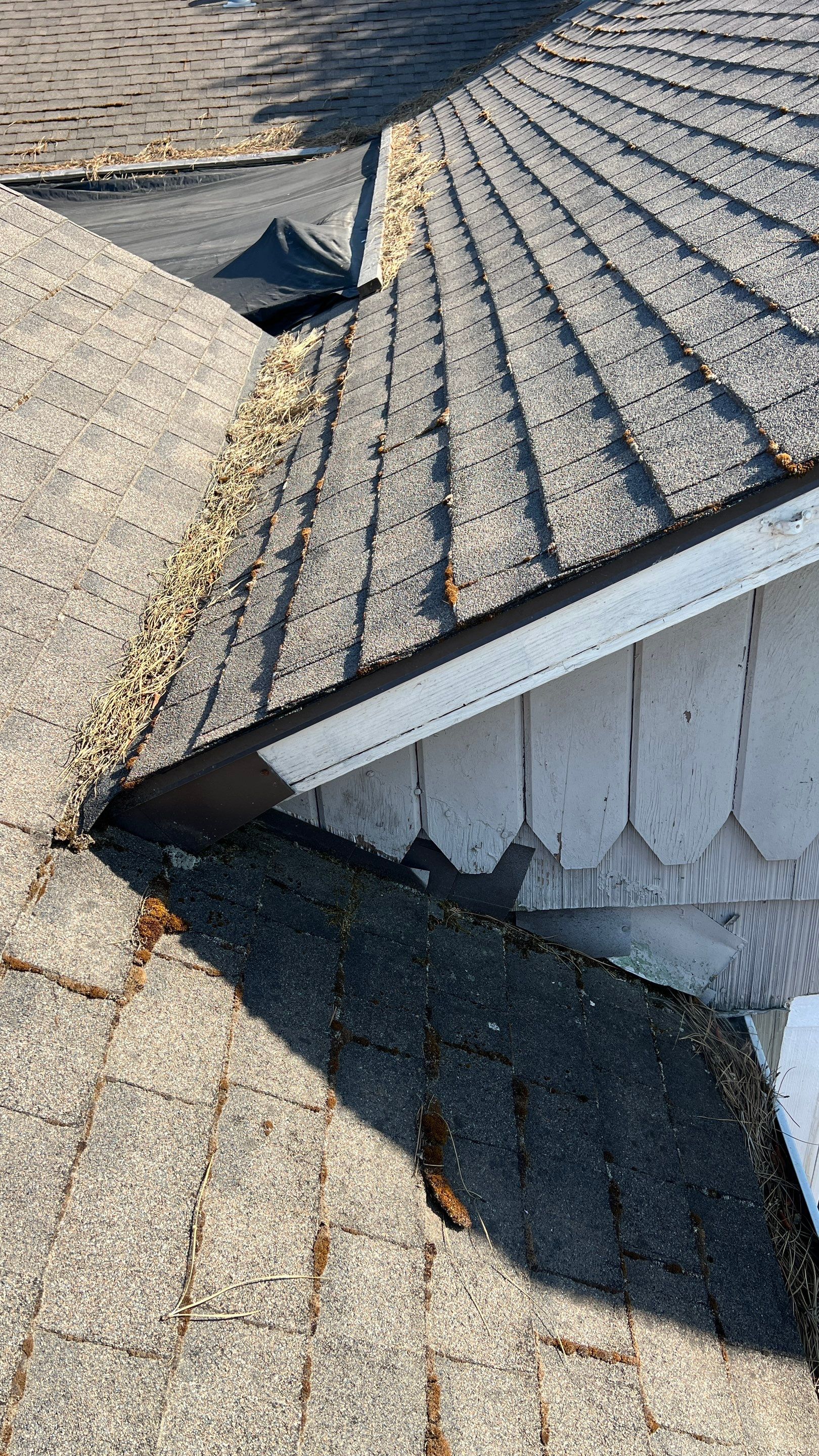Niles Avenue Northeast, Salem OR  by OR Advanced Roofing, LLC