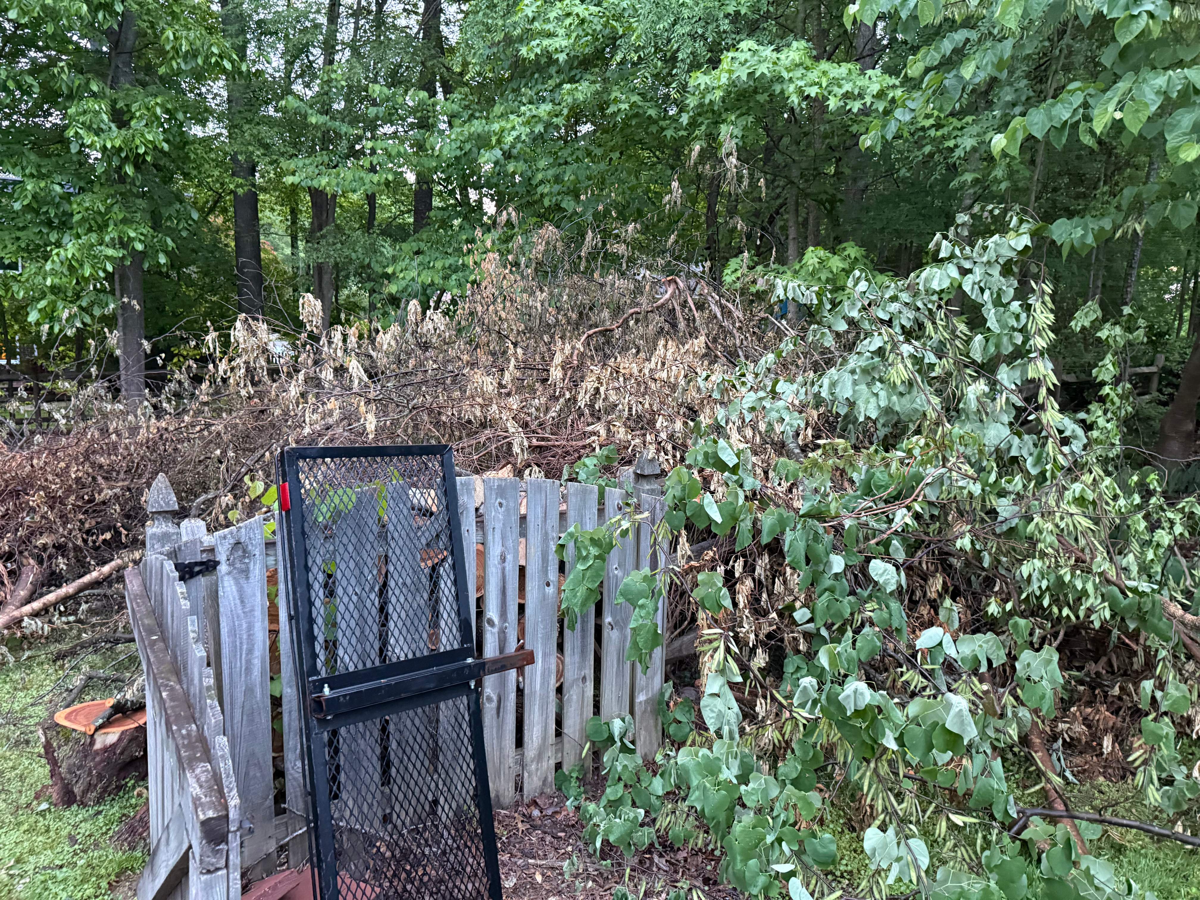 Project in Matthews by Badger Hauling