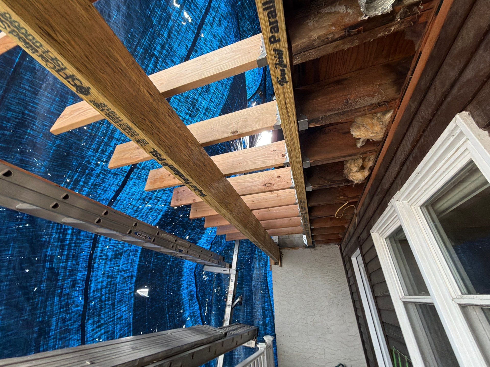 Multi-Level Balcony Reconstruction and Structural Wood Rot Repair in Sea Bright by REVIXPRO
