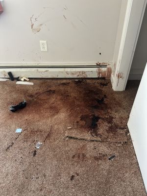 Murder / Suicide Cleanup in Hartford