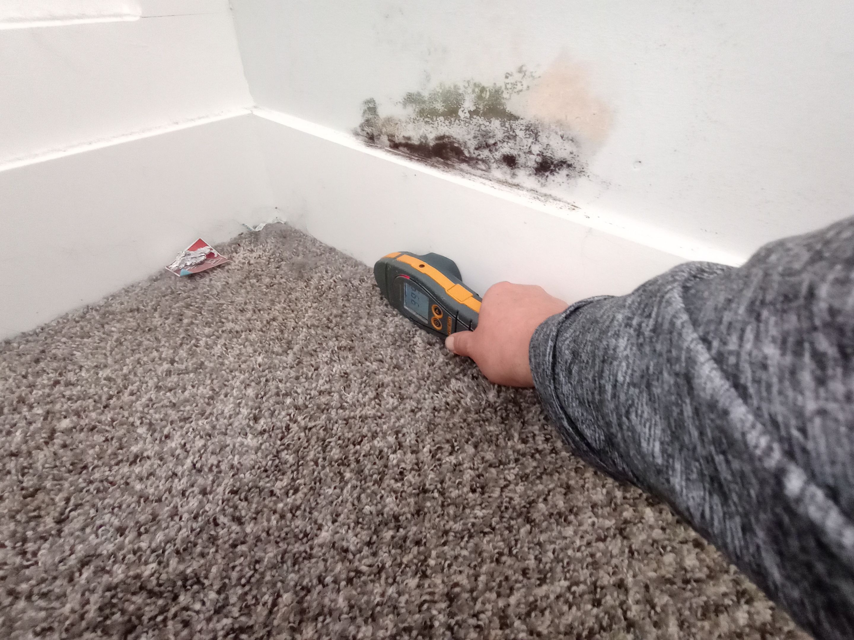 Mold Remediation in Jeffersonville, IN by ANR Restoration