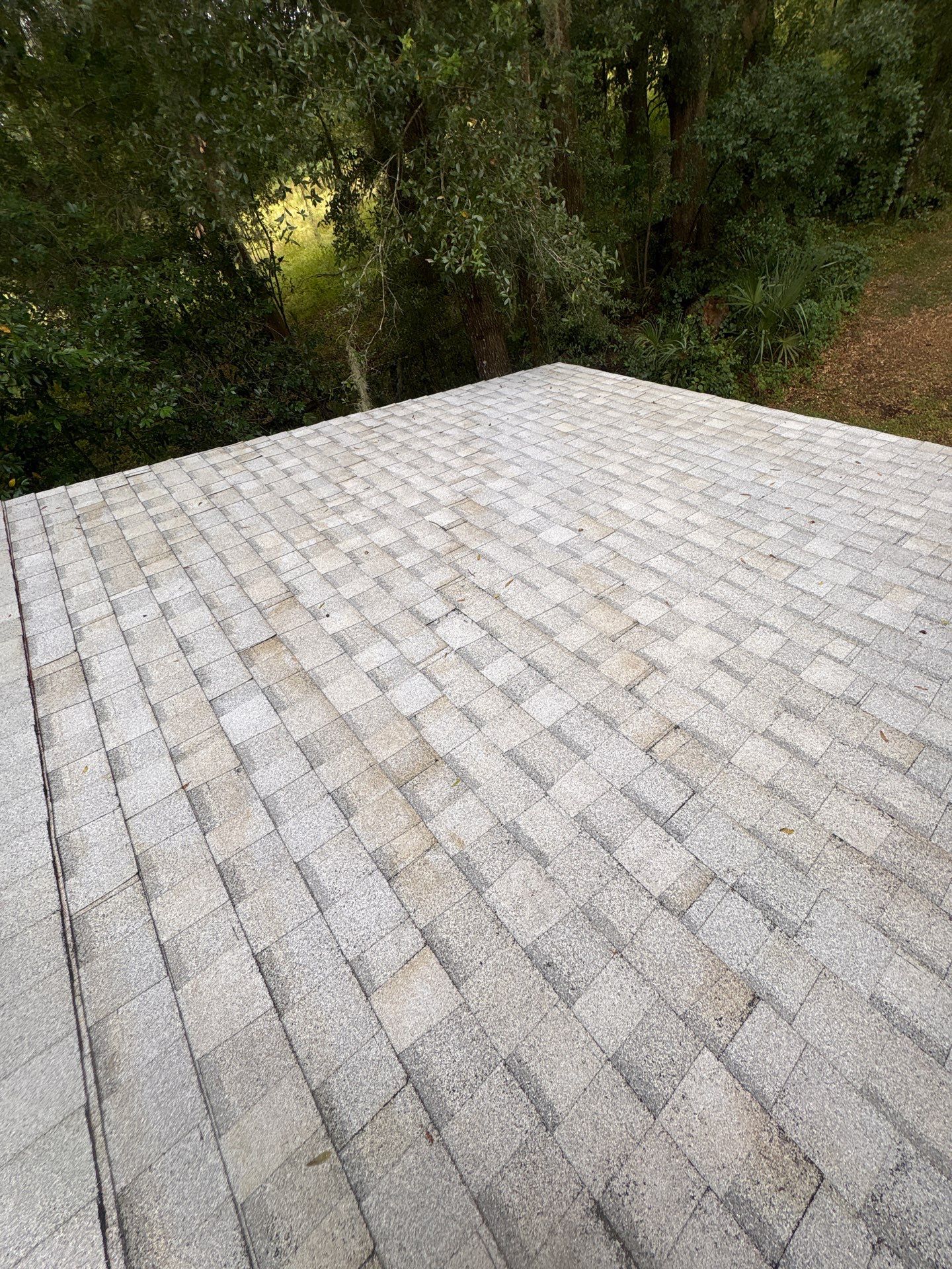 Residential Roofing Installation Featuring Tamko Titan XT Shingles in Webster by Pinnacle Roofing Group