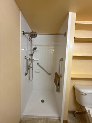 Walk-In Shower Remodel with Accessibility Features in Traverse City