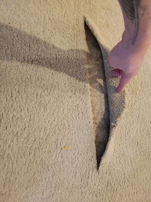 Delaminated Carpet Seam Repair
