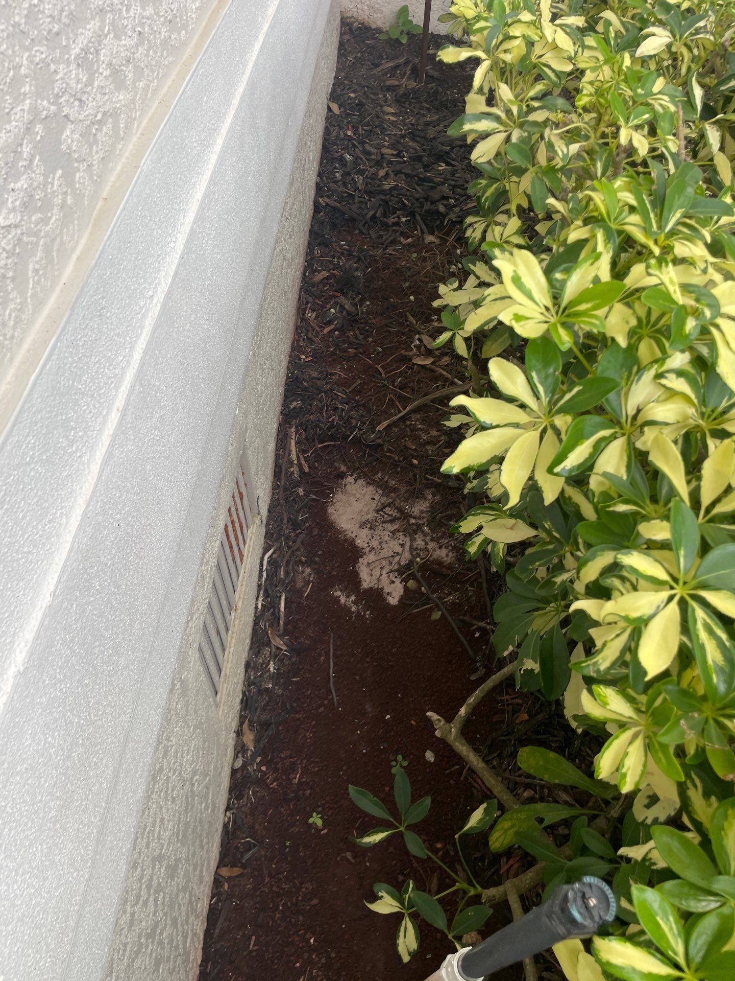 6-inch K-style Seamless Gutters in Fort Myers FL by Gutter Professors