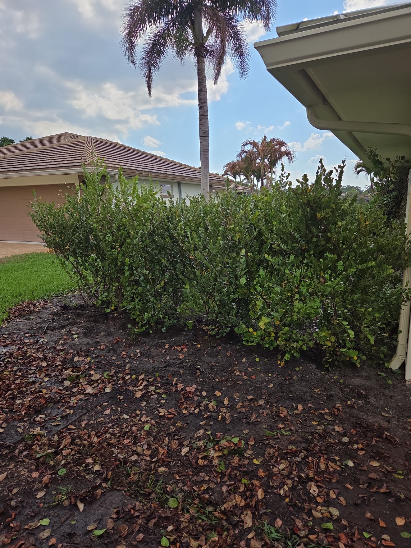 Pipers Landing Hedge Revival by Alpha Zeta Enterprises Inc