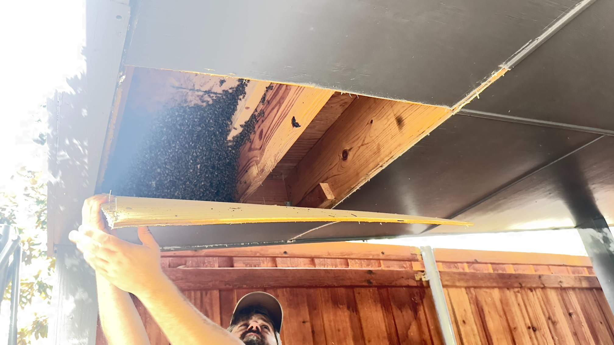 Carport by Rockwall Honey Bee Company