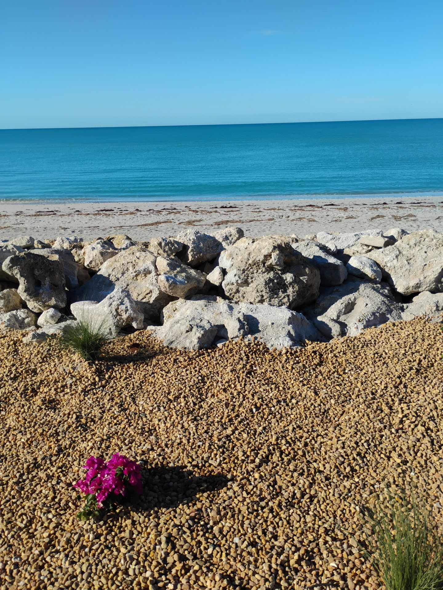 Custom Bamboo Vinyl Fence in Manasota Key by True Fence LLC