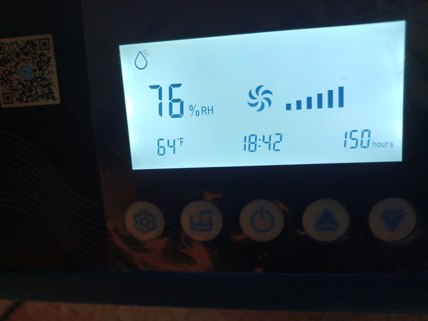 Project in Royal Oak by EzDry Water Mitigation & Property Restoration