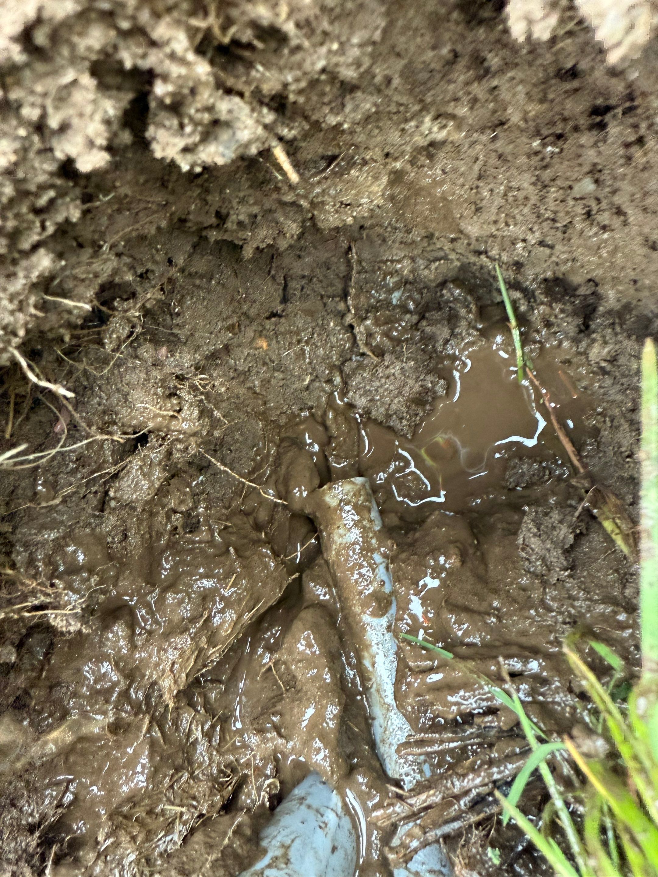 Project in Bothell by Aztec Electric LLC